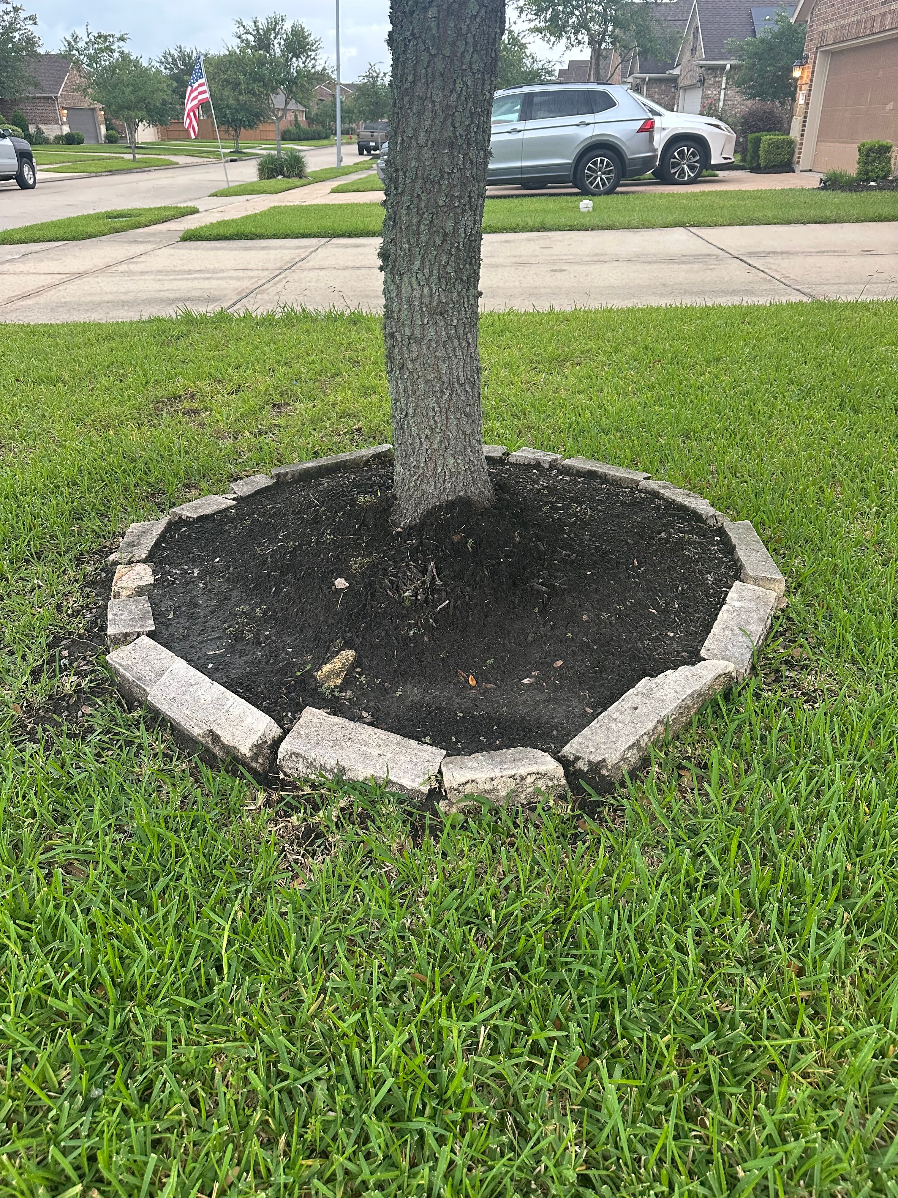  for Texas Curb N Borders in Houston, TX