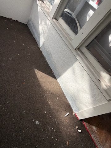  for Escorpio Painting in Tampa, FL