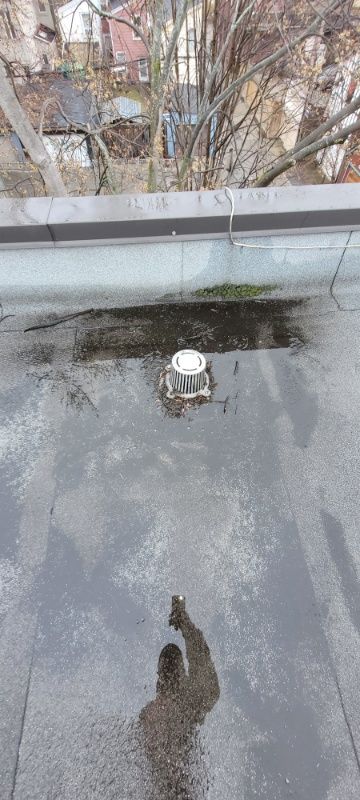  for Triumph Inc - Repair & Maintenance in Scarborough, ON