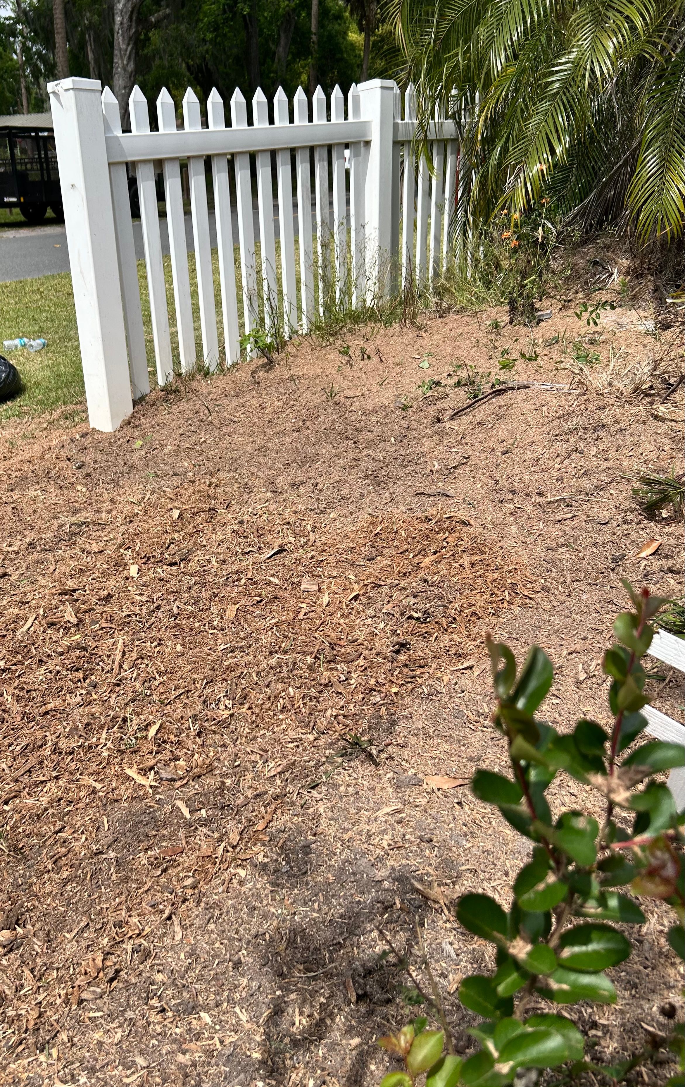  for Greene Acres Stump Grinding in Plant City, FL