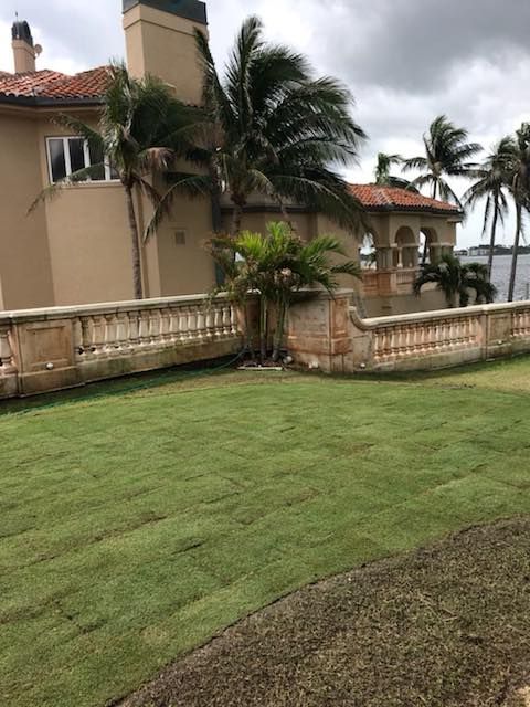 Landscaping for WORKS SOD in West Palm Beach, FL
