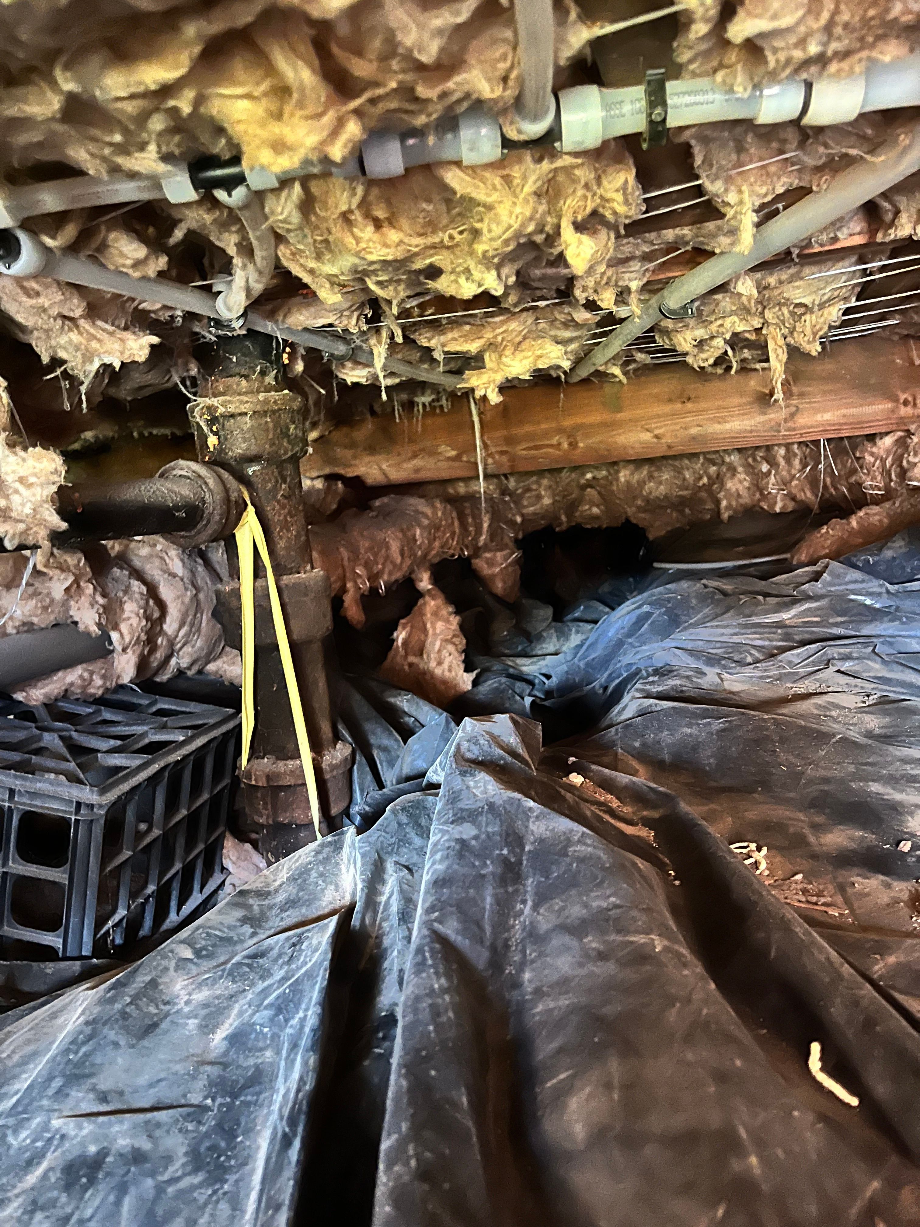 All Photos for Absolute Plumbing and Drains LLC in Beaverton, OR