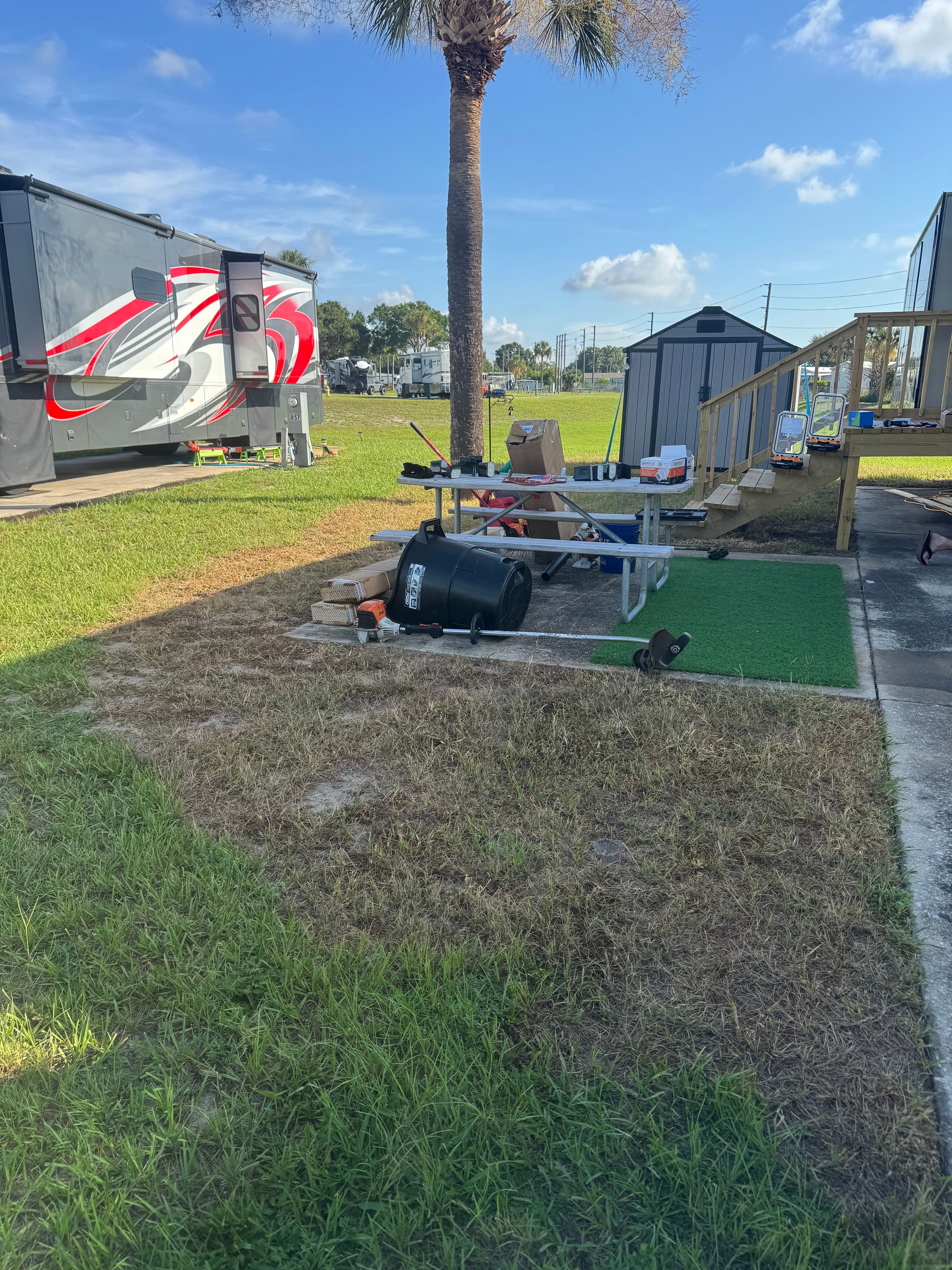 Tree Services for Ludlows Services in Clermont, FL