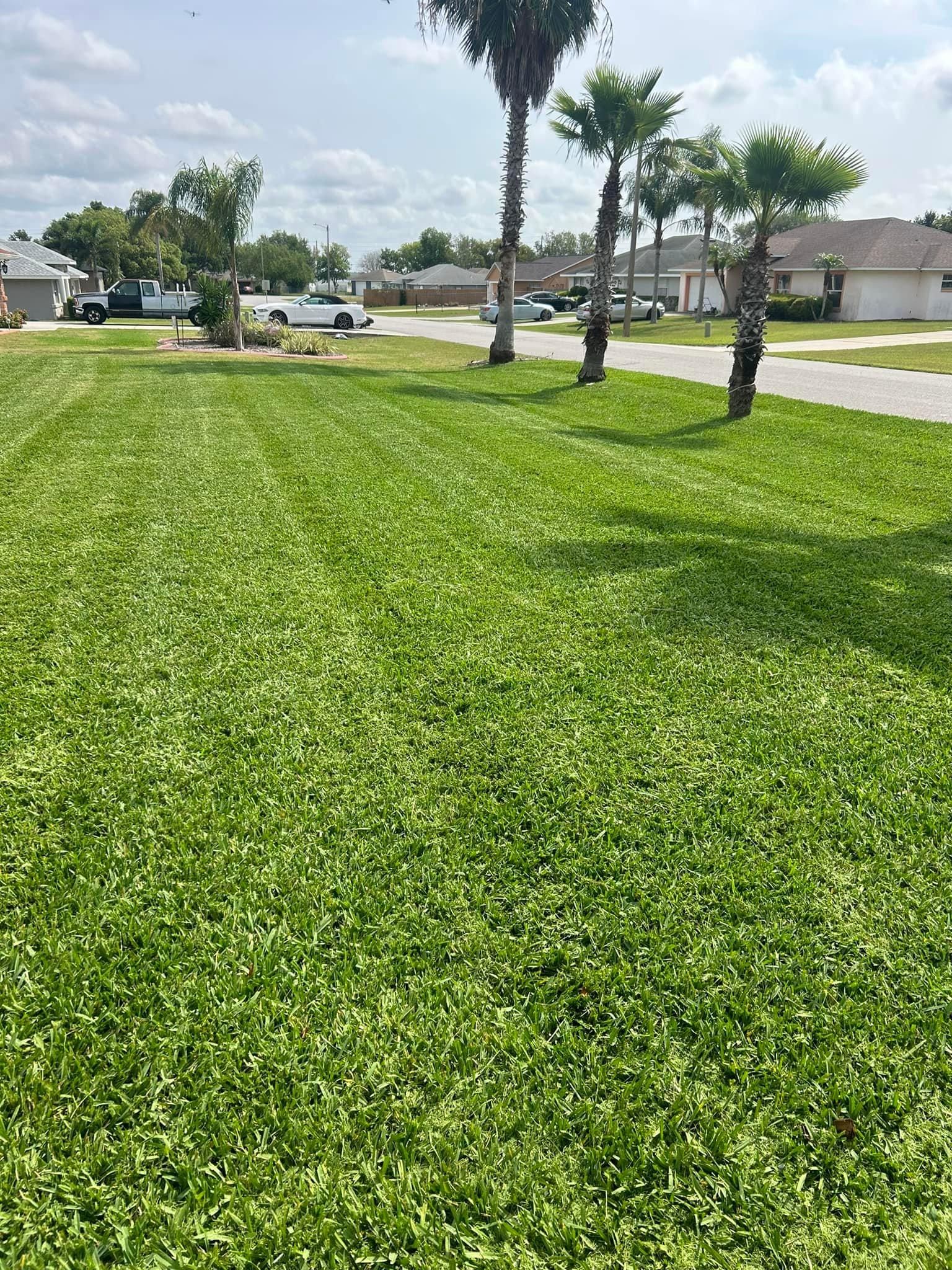 All Photos for Estrada All Pro Lawn Service in Auburndale, Florida