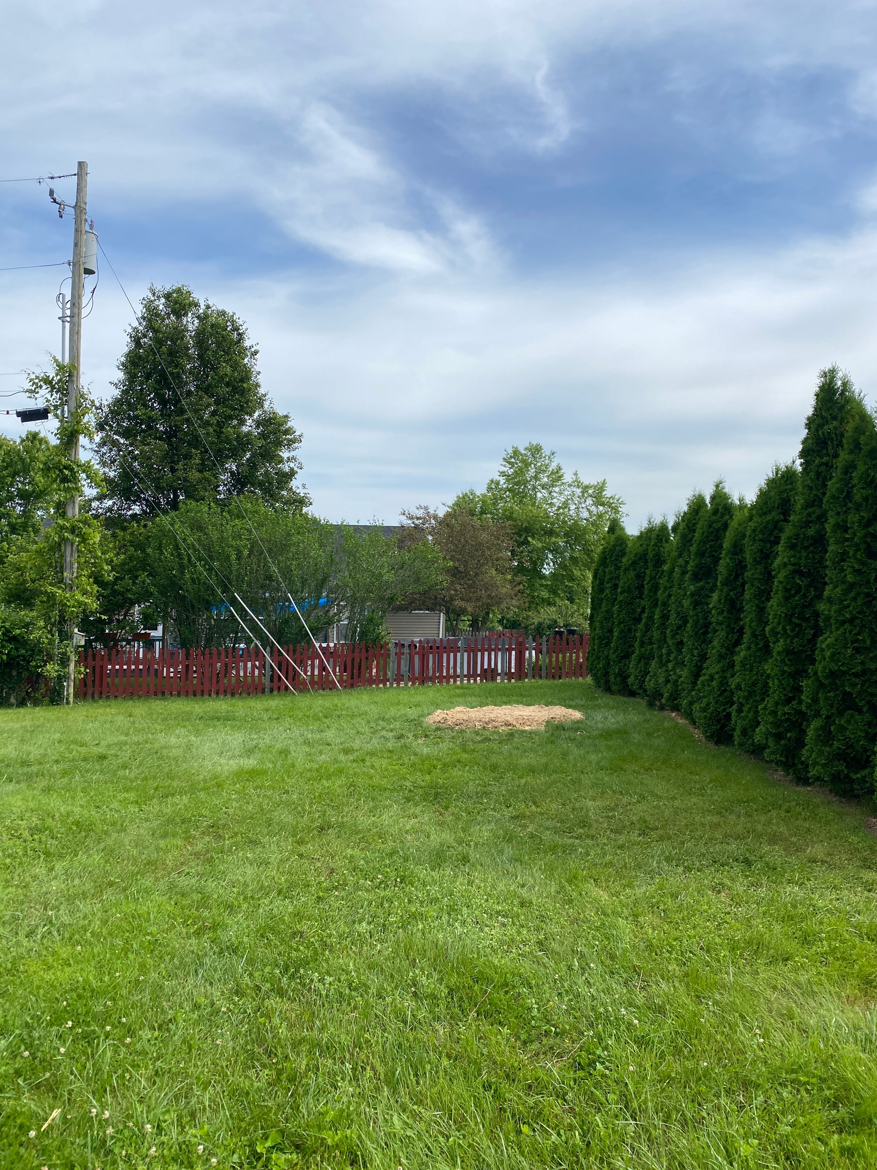 All Photos for Houtz Tree Service in Lexington, KY