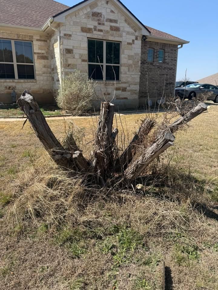 All Photos for Oakley’s Stump ‘N Grind in Leander, TX