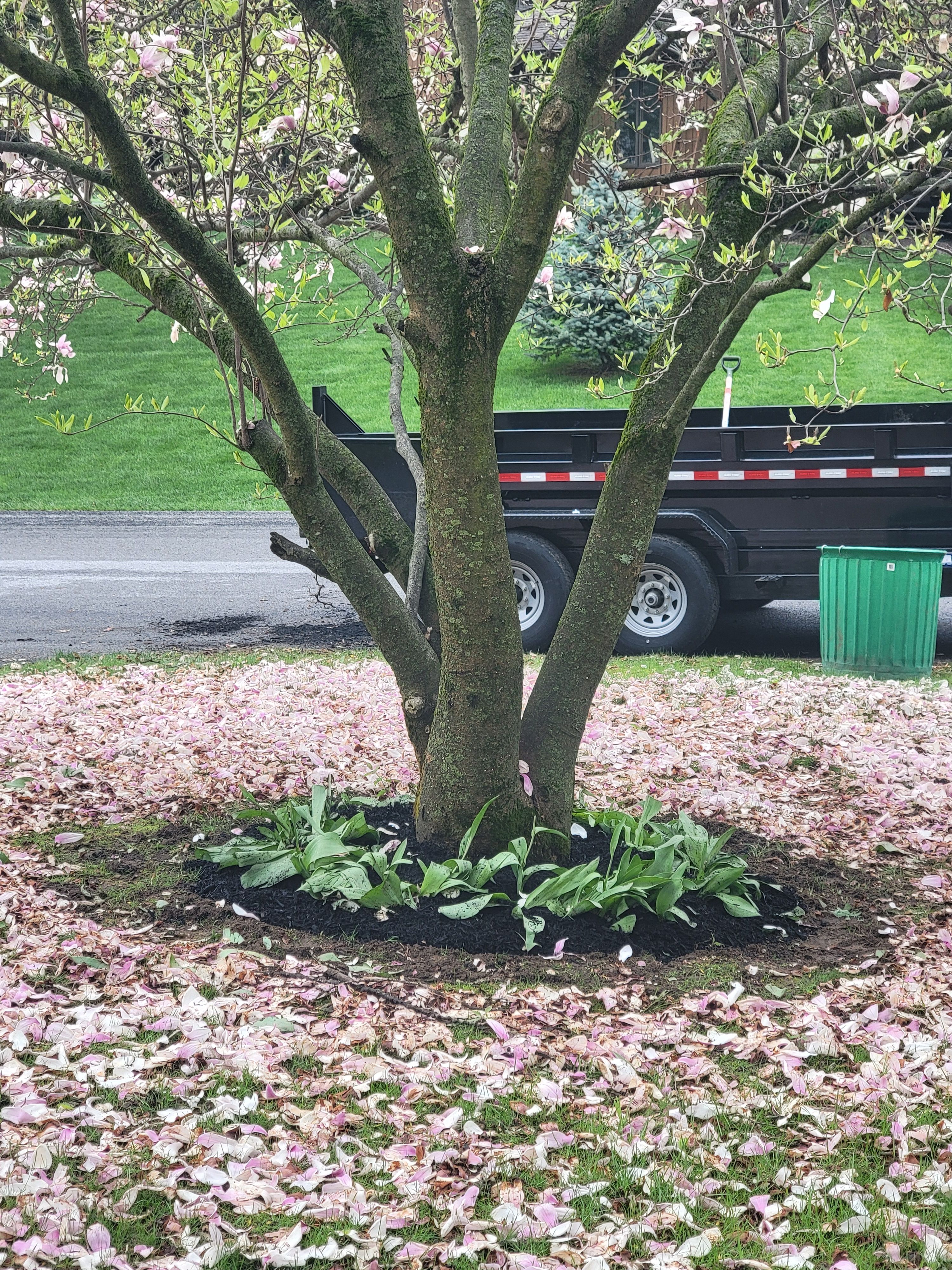 for Sweet Scapes in Ballston Spa, NY