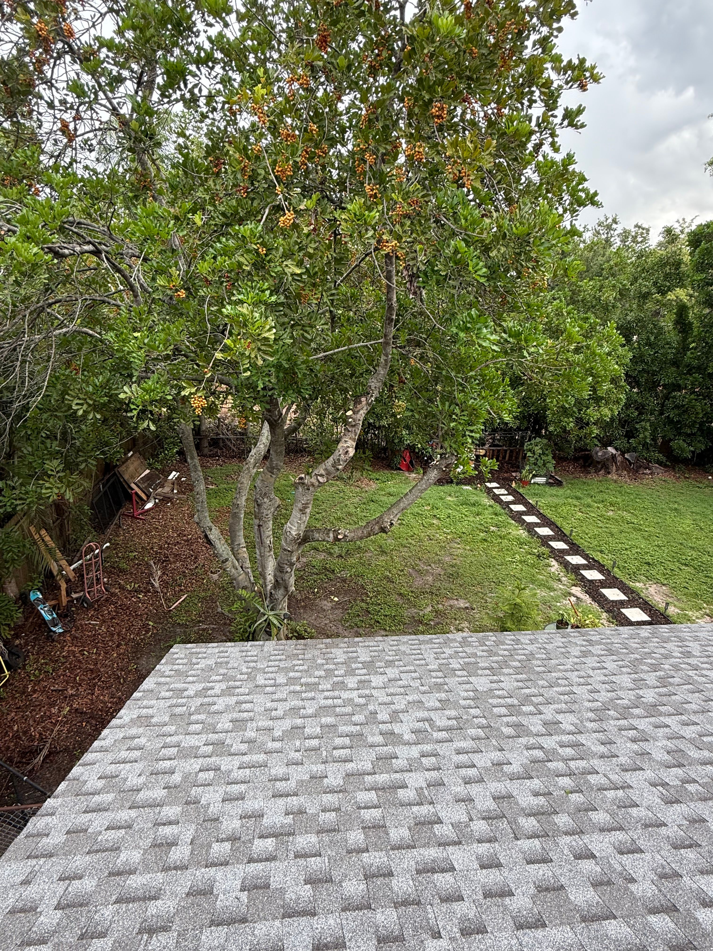  for Damian’s Tree Care in Sarasota, FL