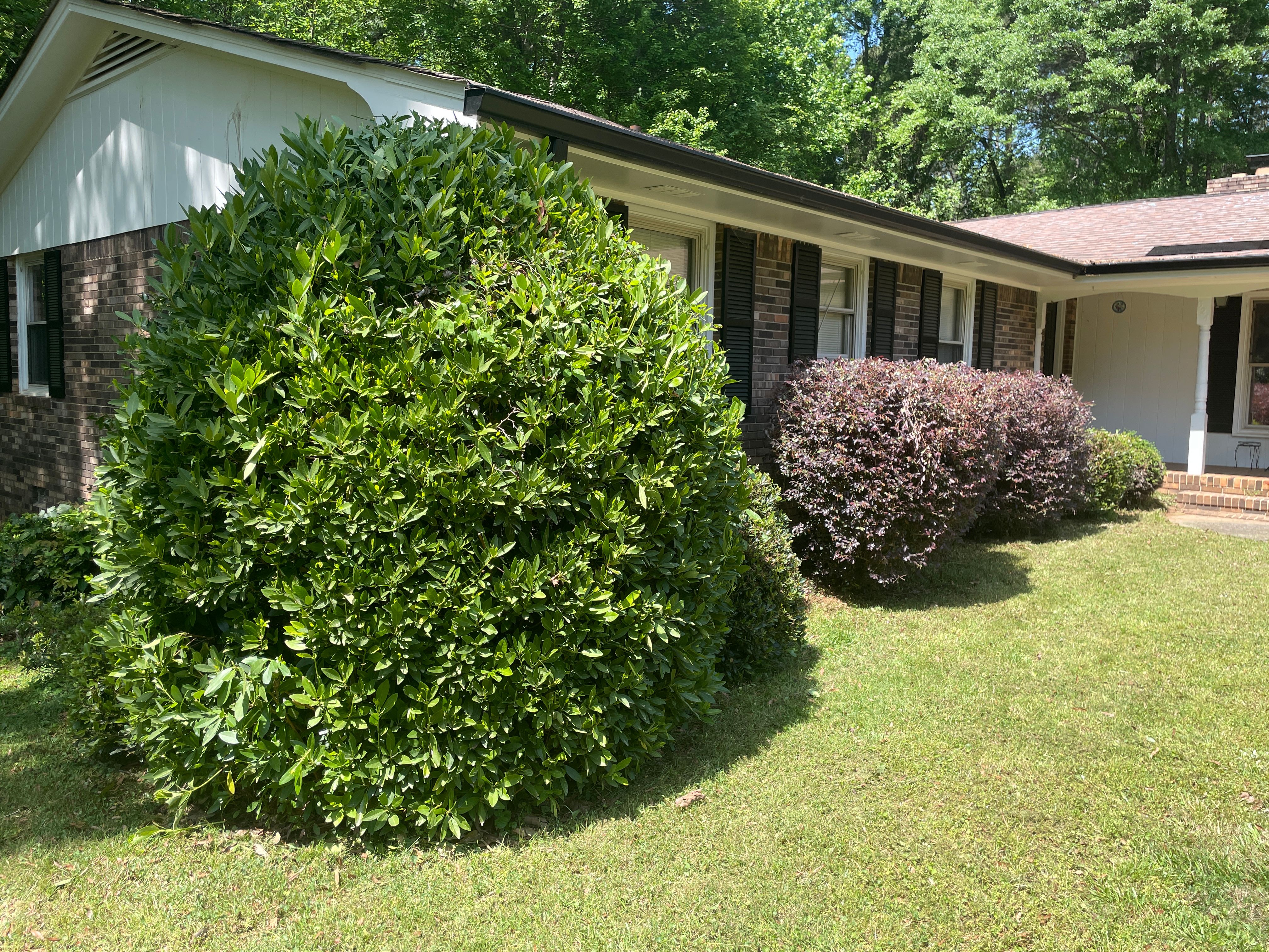  for Clark's Cuts Lawn Care in Lilburn, GA