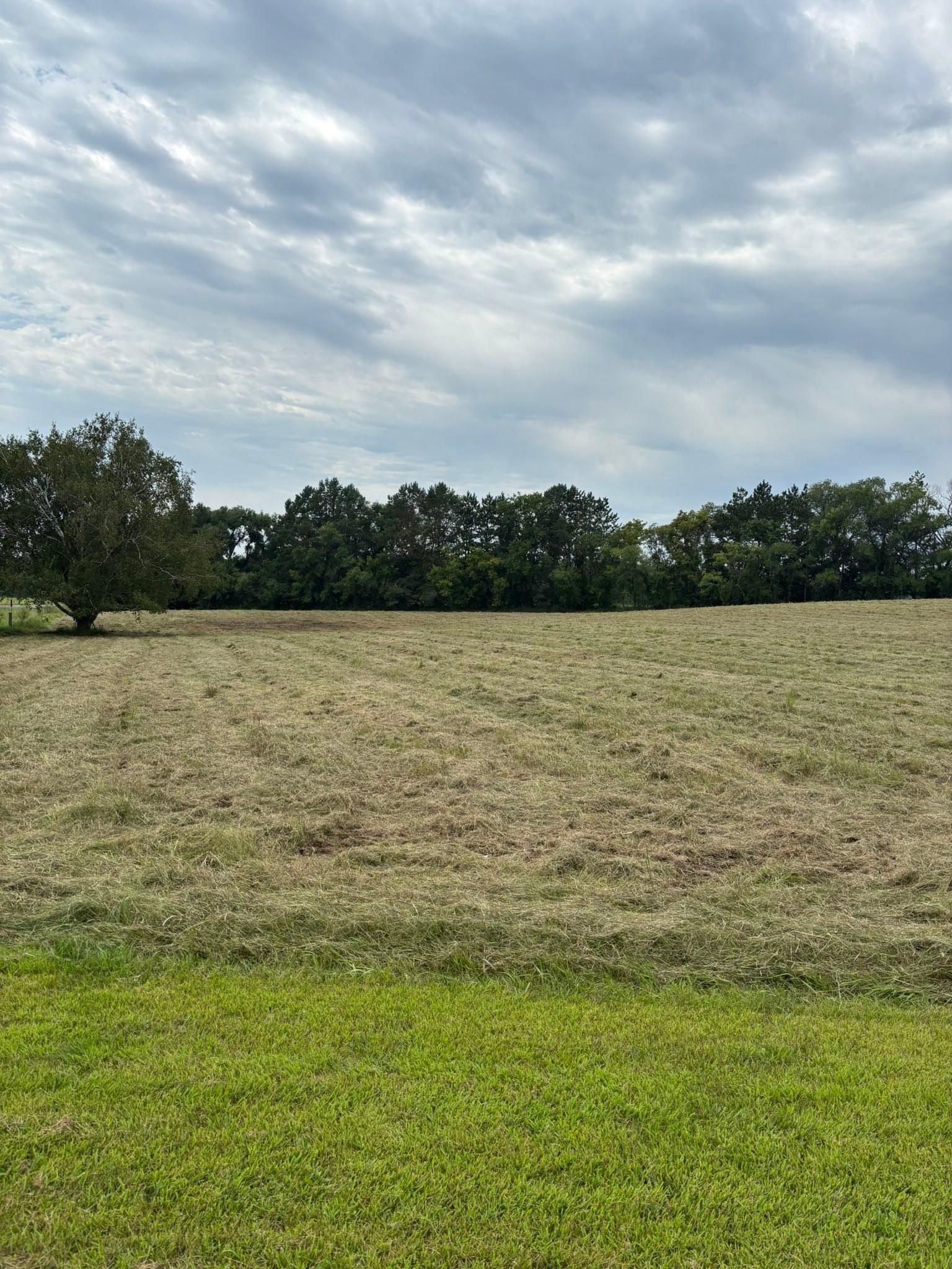  for Root Land Management in Watkins, MN