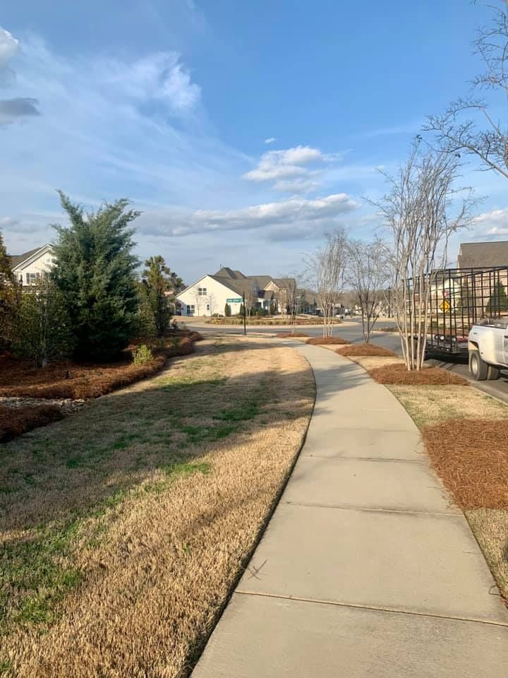 for Pecina Pine Needles in Monroe, NC