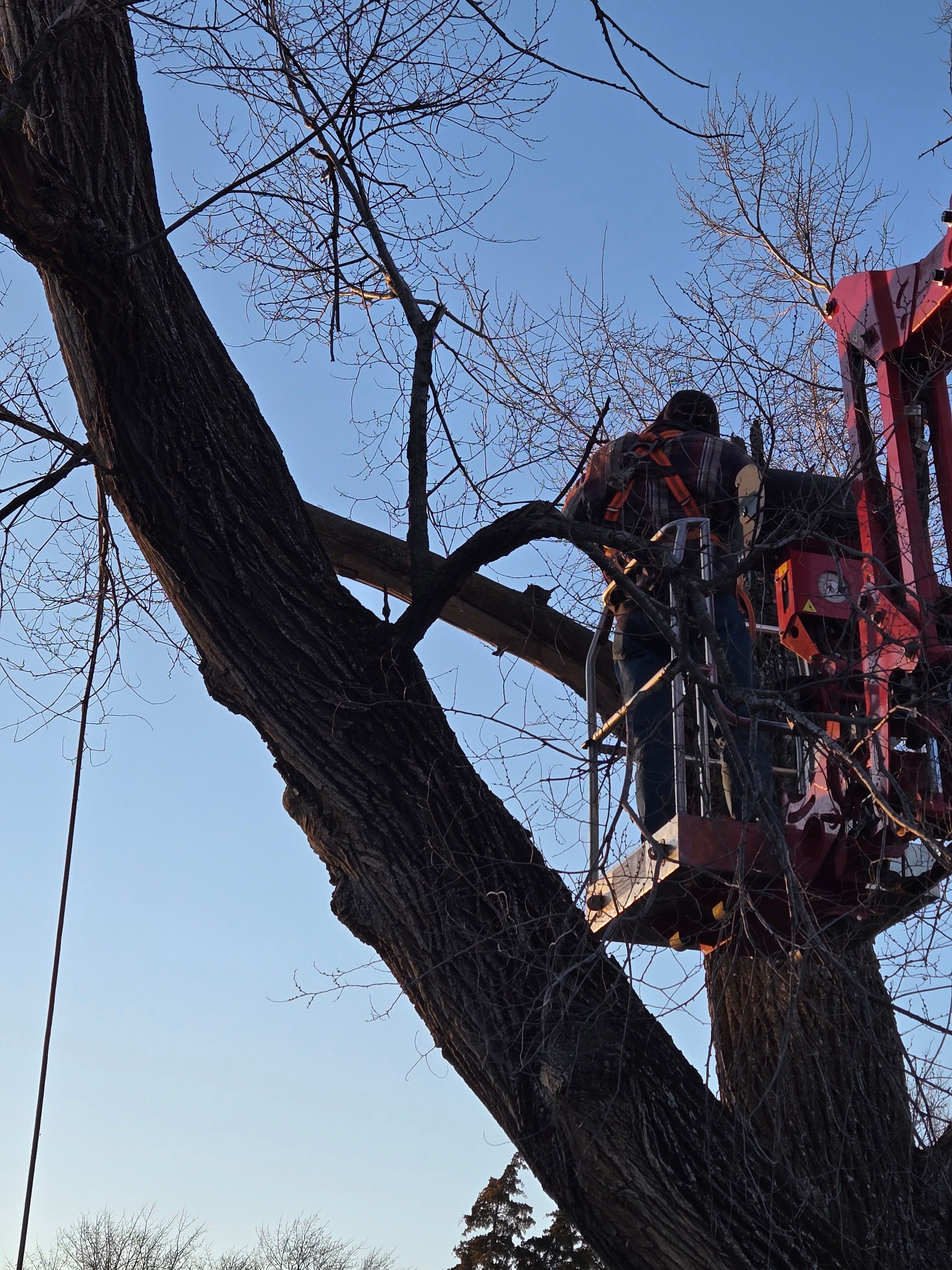  for Lawn Ranger Yard And Tree Service LLC in Ottumwa, IA