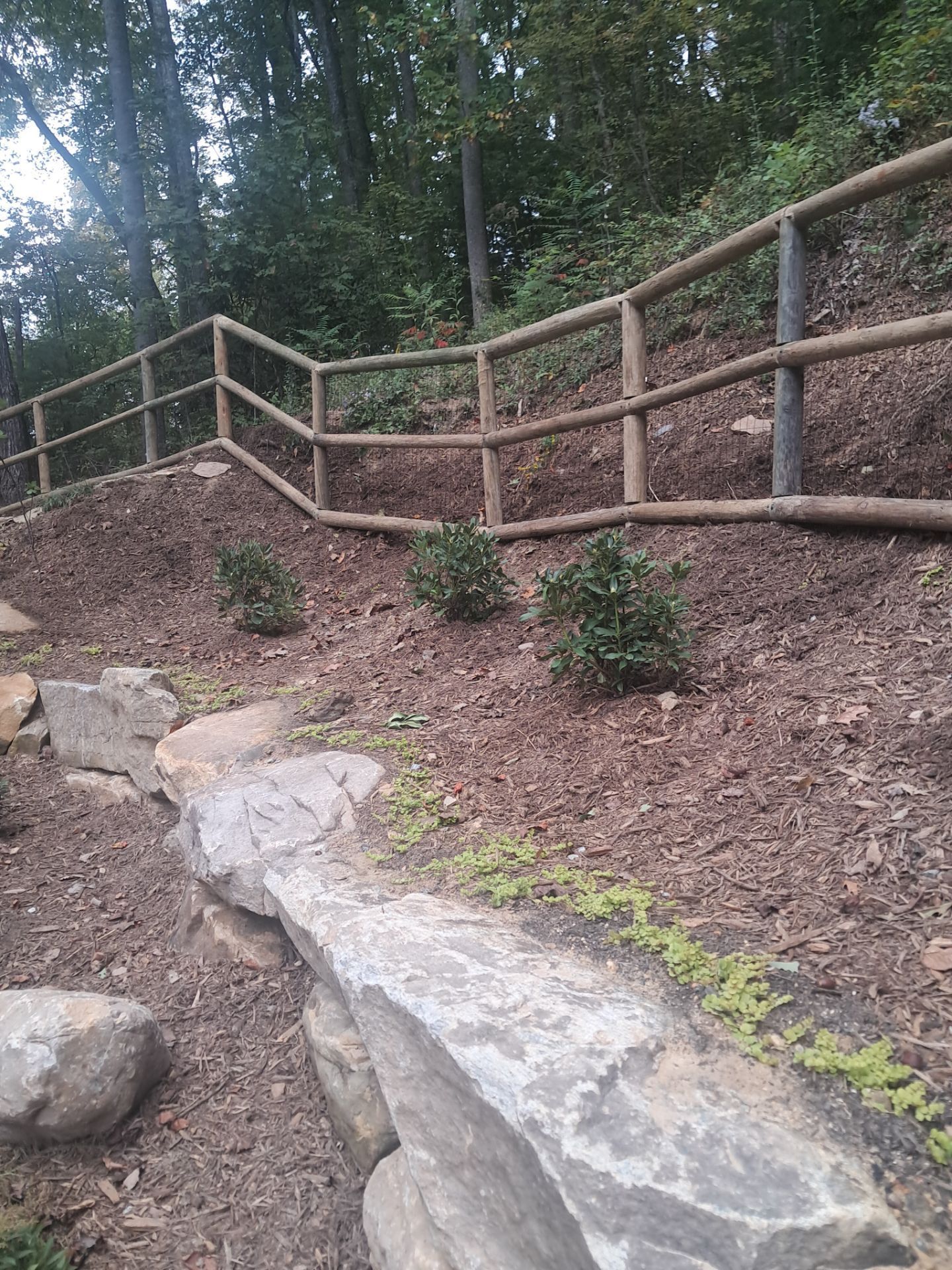  for Rescue Grading & Landscaping in Marietta, SC