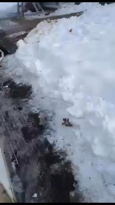  for Landmark Solutions LLC in Mishawaka, IN