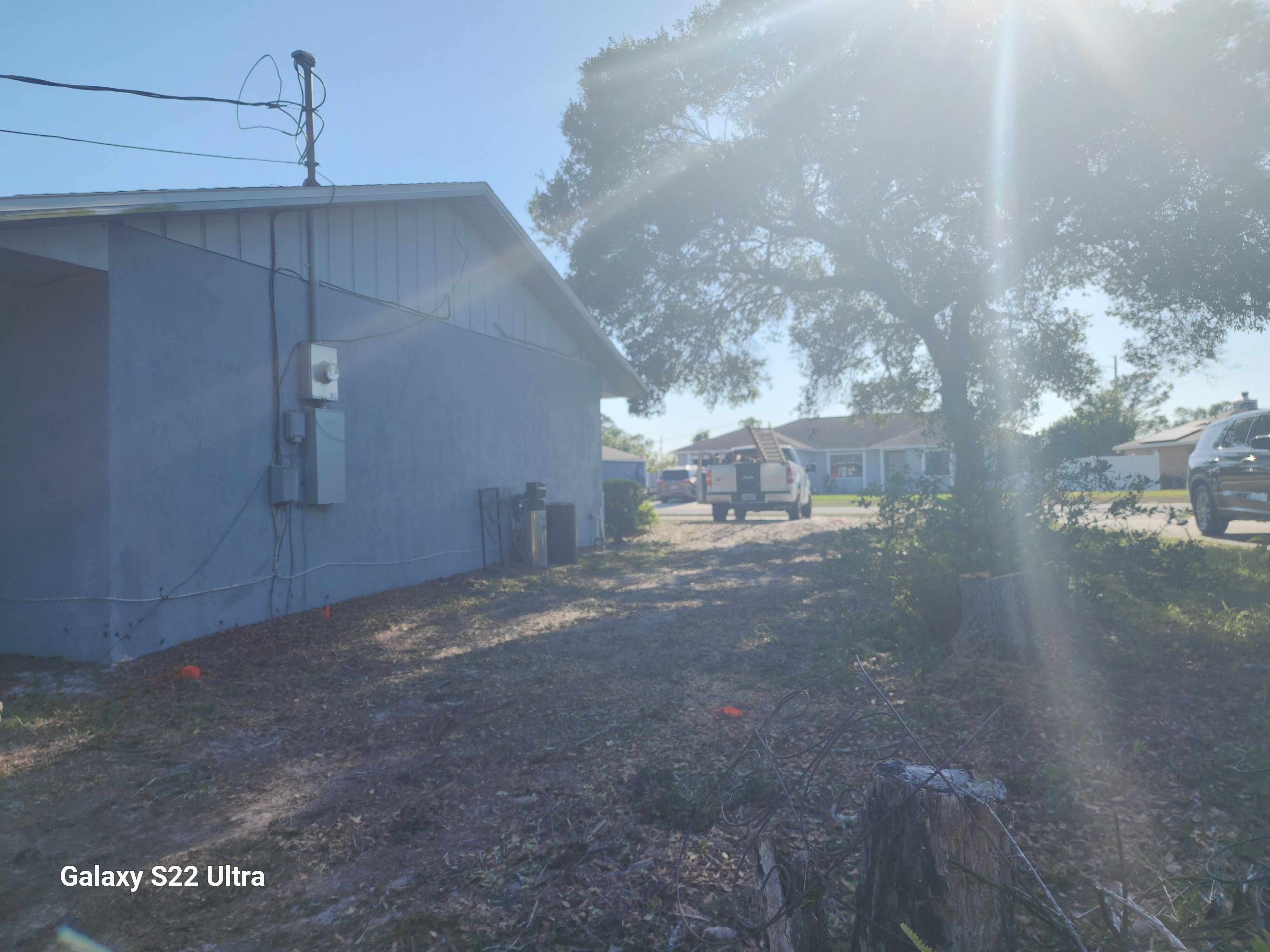 All Photos for Highlife Tree Care And Landscaping in Altamonte Springs, FL