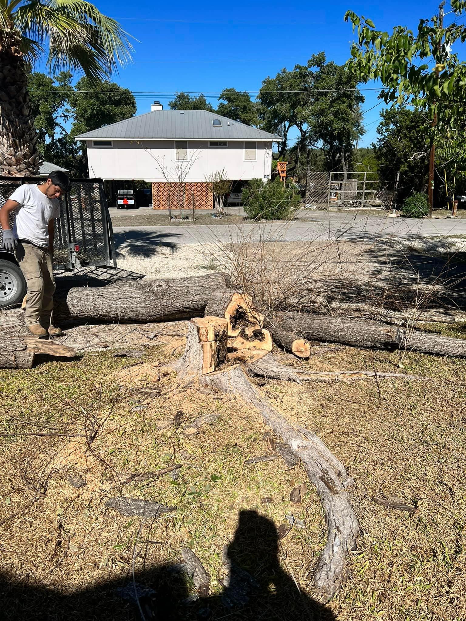 All Photos for Green Turf Landscaping in Kyle, TX