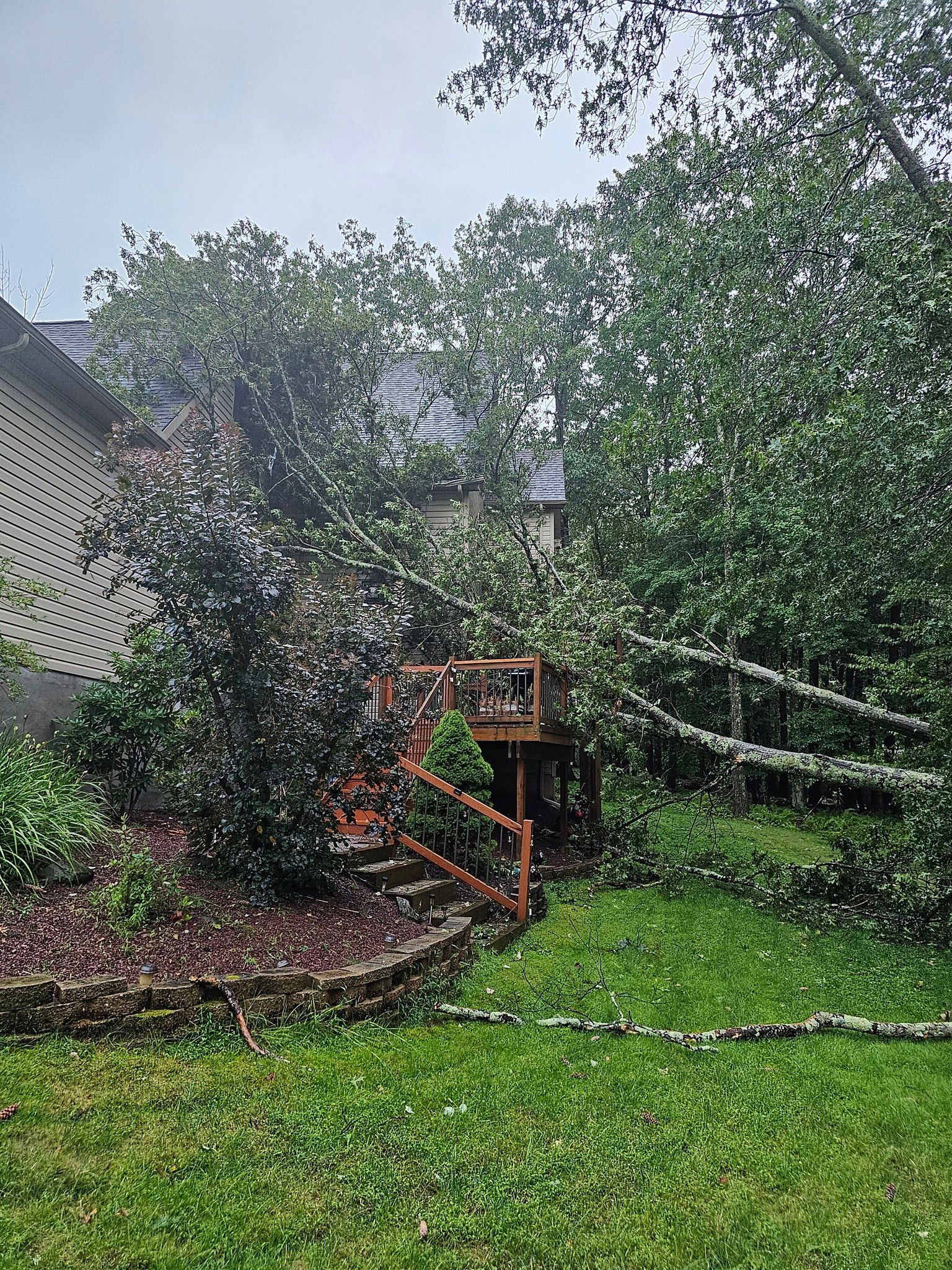  for AAA Tree Cutting in Shavertown, PA