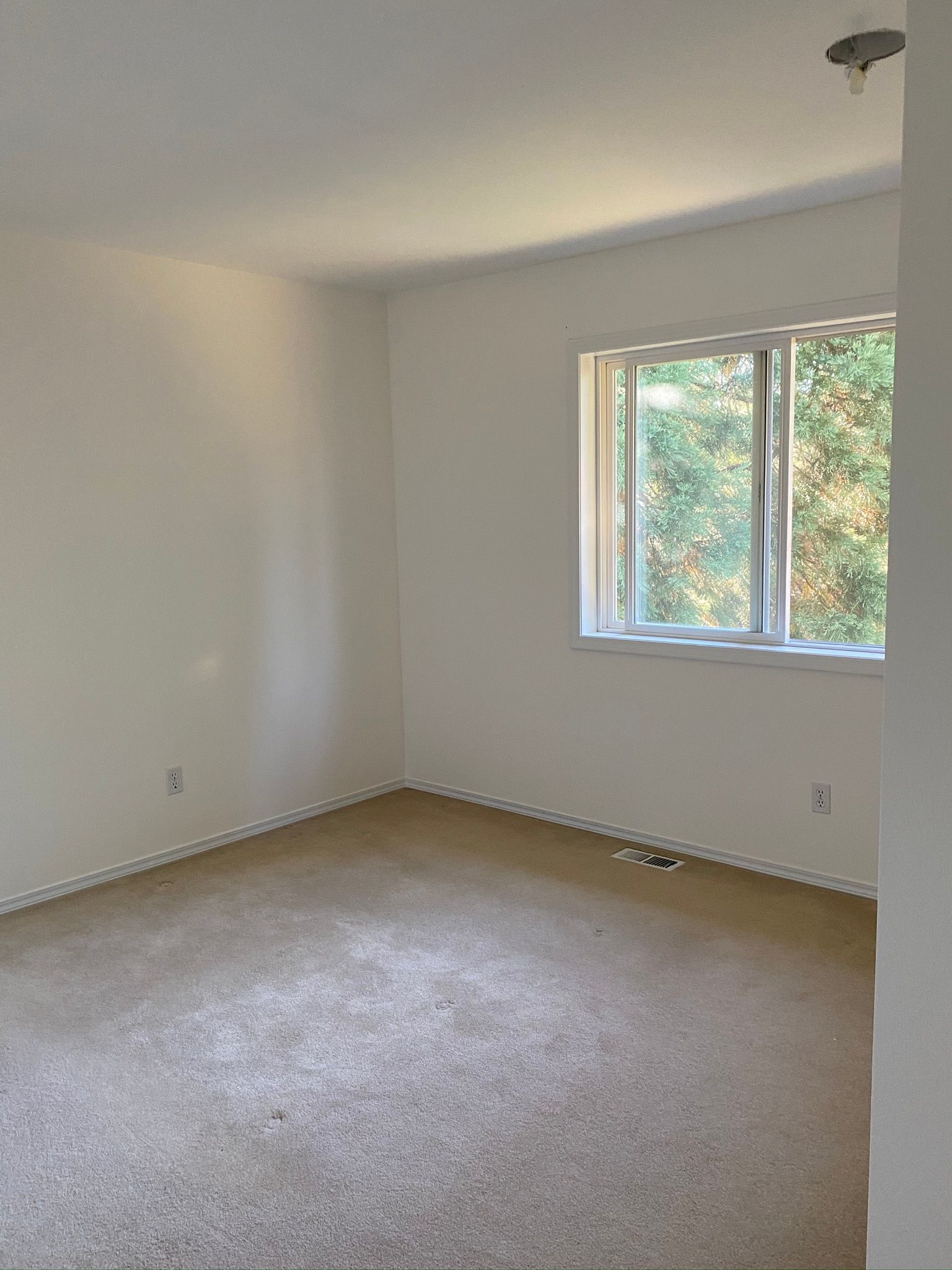  for Tony's Remodeling & Painting in Renton, WA