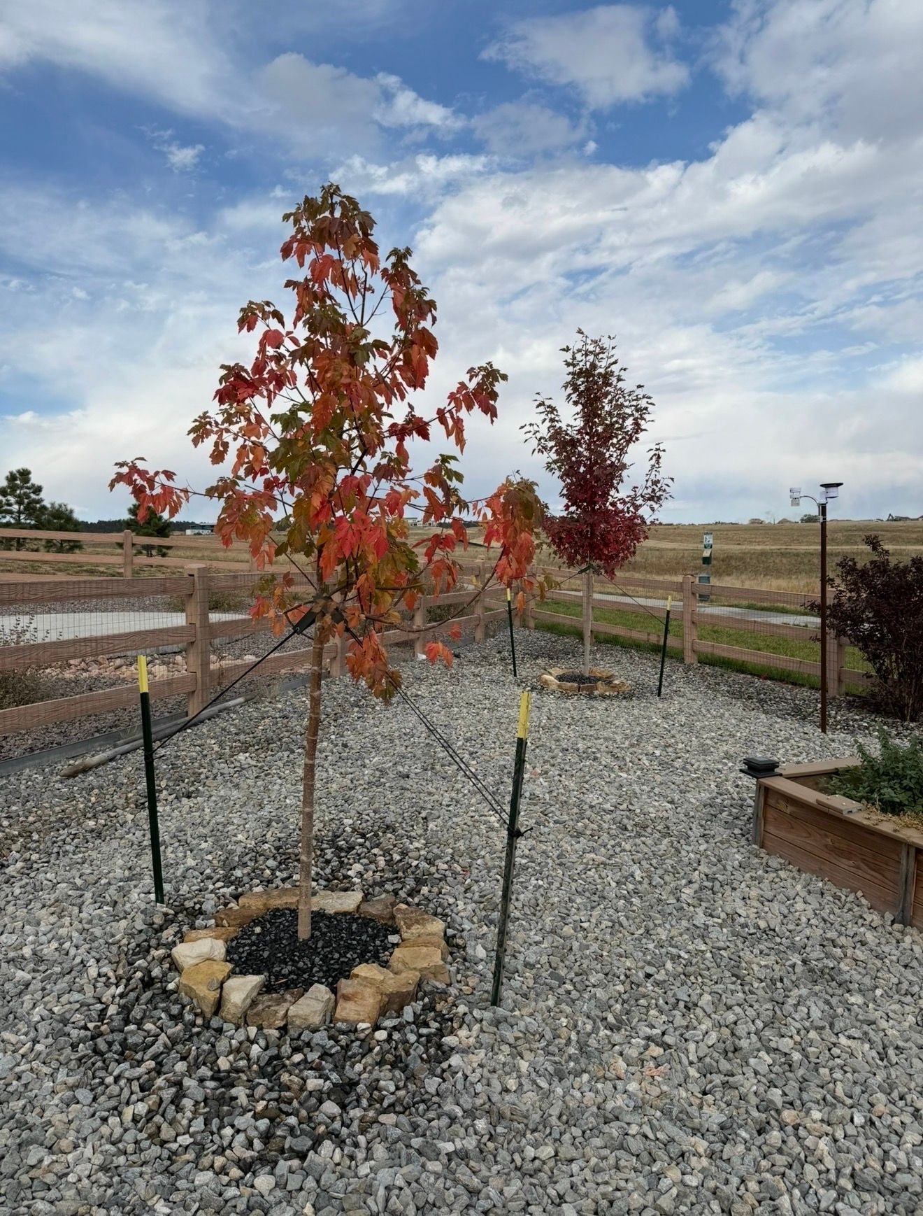  for Pikes Peak Landscaping in Colorado Springs, CO