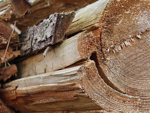  for Sloan Tree Service in Aurora, CO