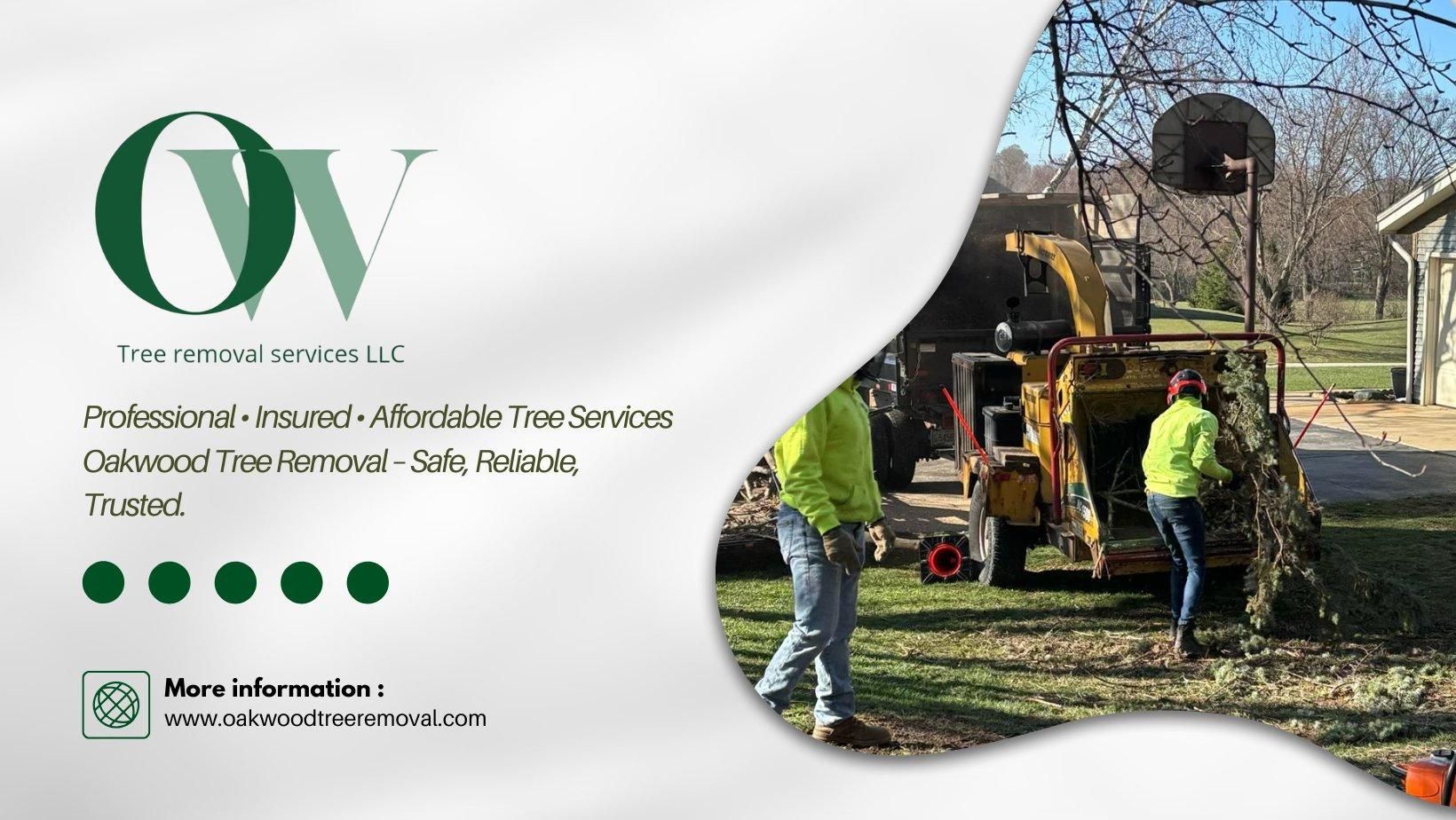  for Oakwood Tree Removal LLC in Oak Creek,  WI