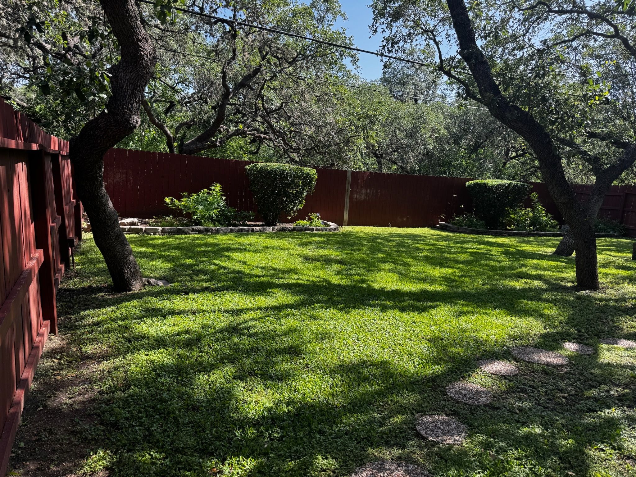 Lawn & Landscaping for Exellent lawn services in San Antonio, TX