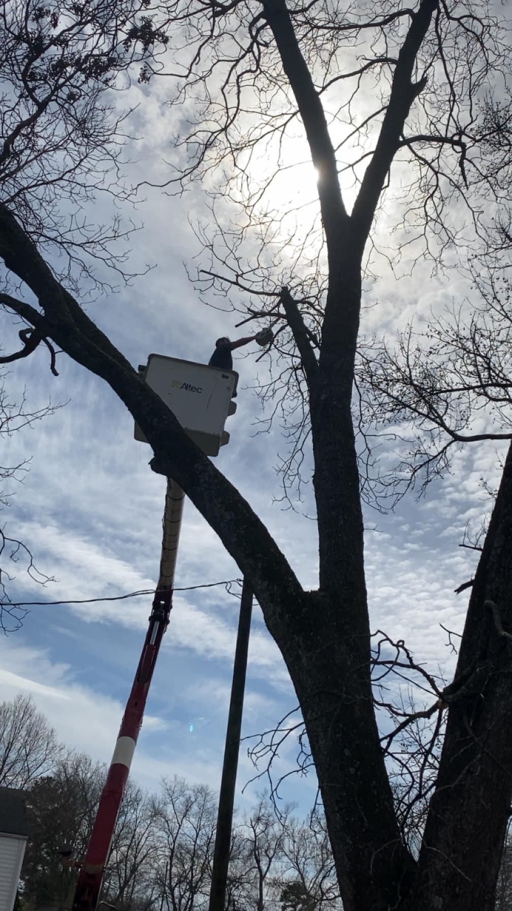  for Jeff’s Tree Service in Southside, AL