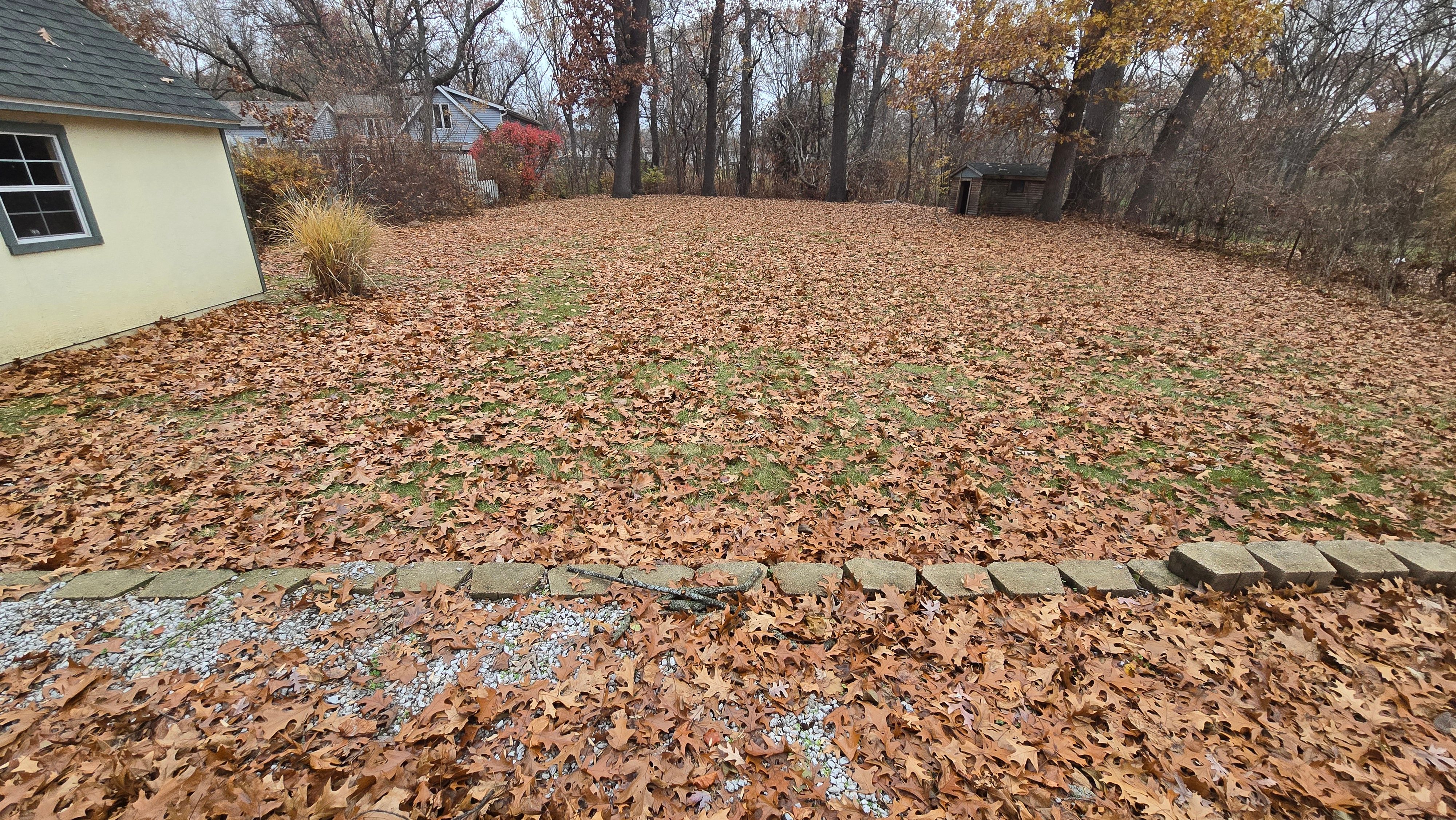 All Photos for Prime Landscaping 219 in Lake Station, IN