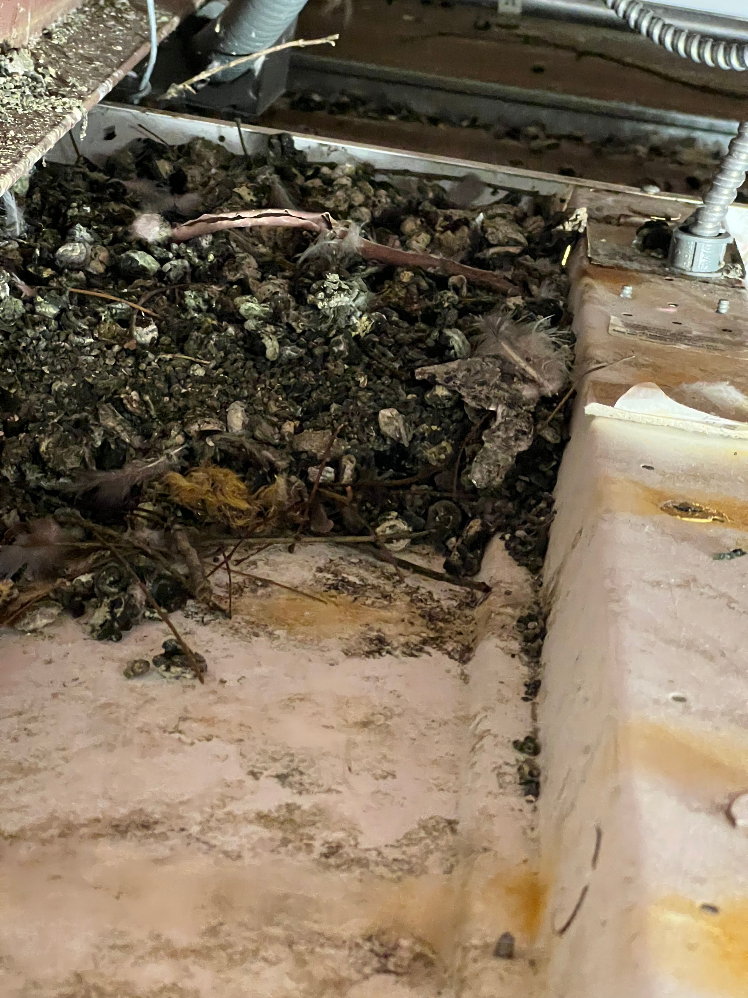  for N&D Restoration Services When Disaster Strikes, We Come In in Cape Coral,  FL