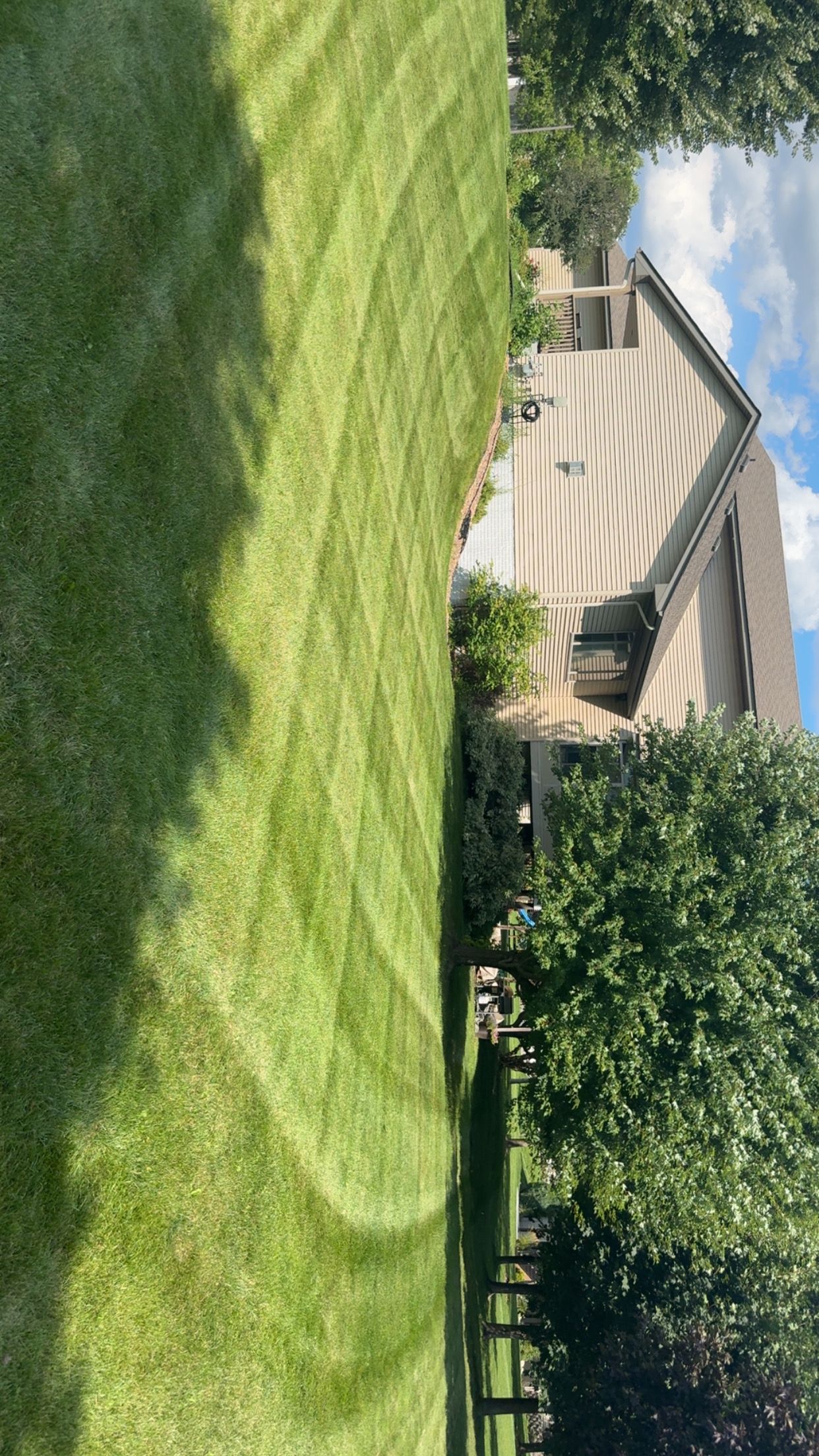  for Bubba’s Seasonal Services in Buffalo, MN