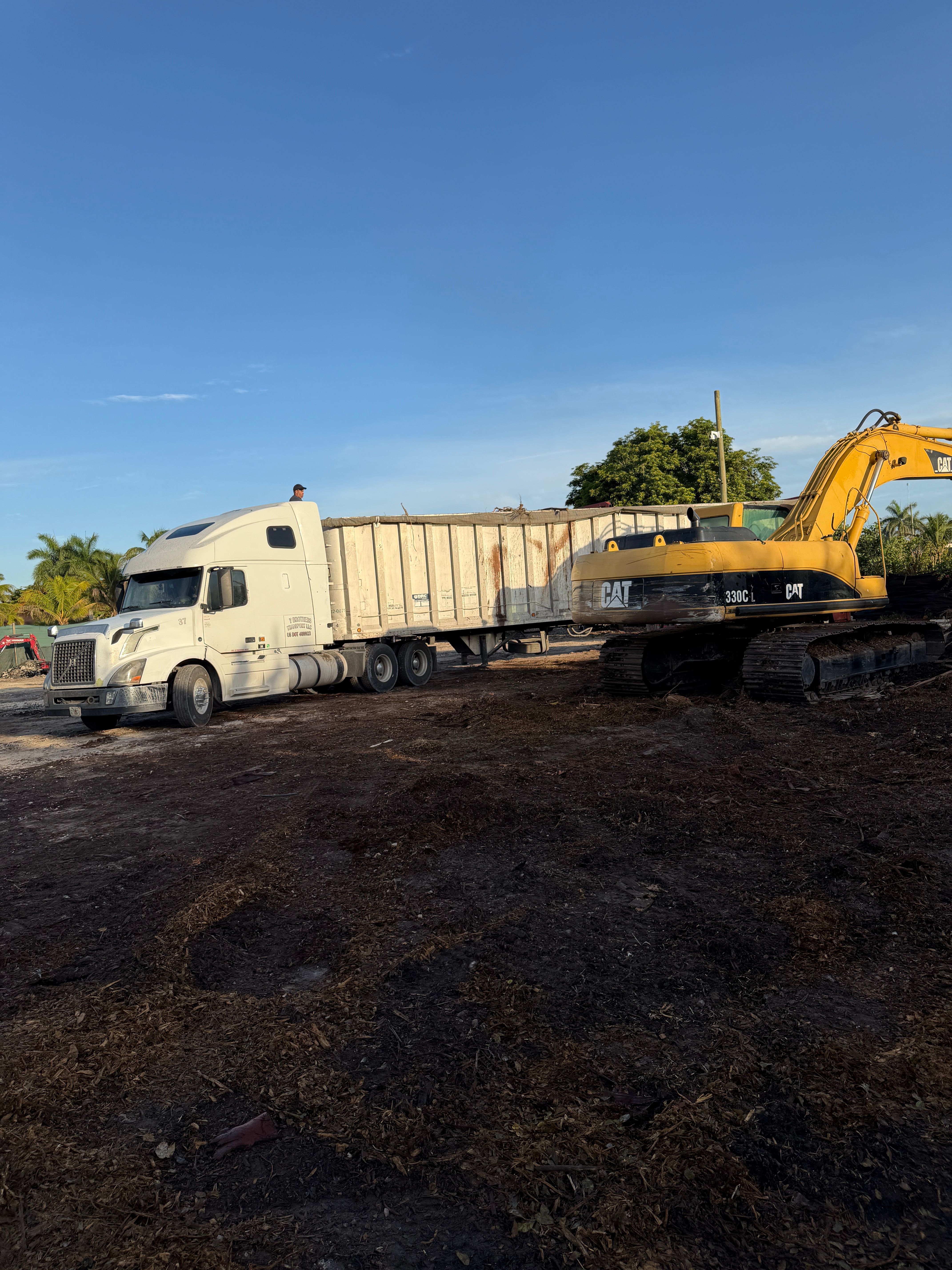  for Nurry Tree Services in Miami, FL