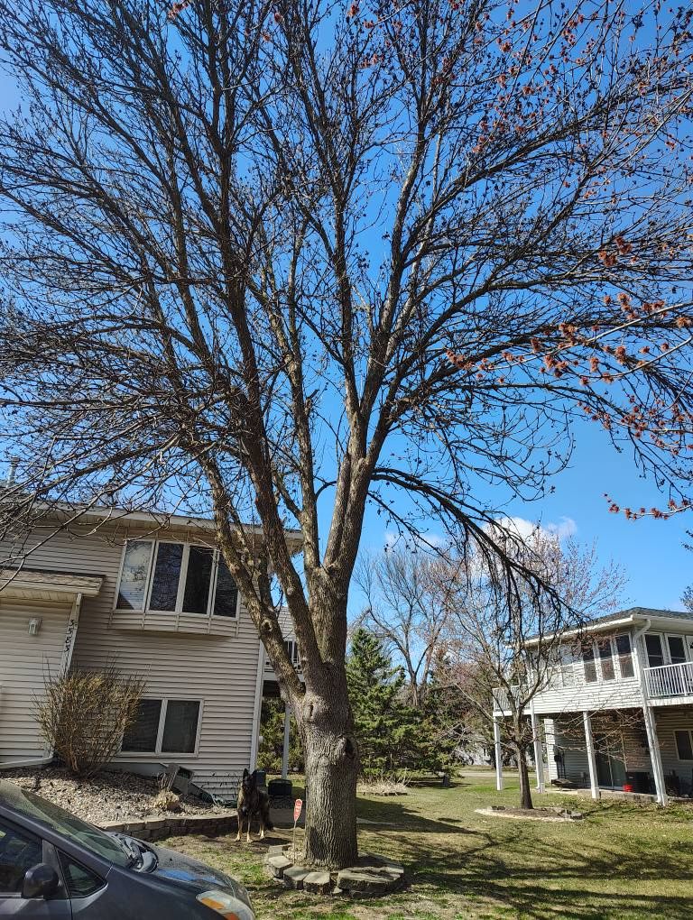 All Photos for Big River lawn Care services and snow LLC in Wausau, WI