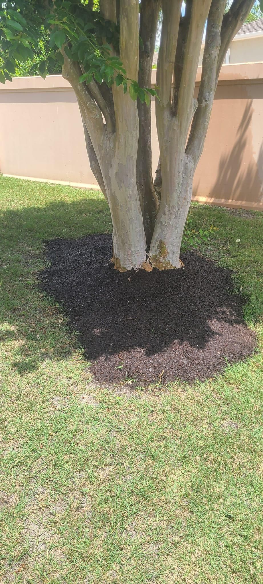  for TopNotch Landscaping Services  in The Villages, FL