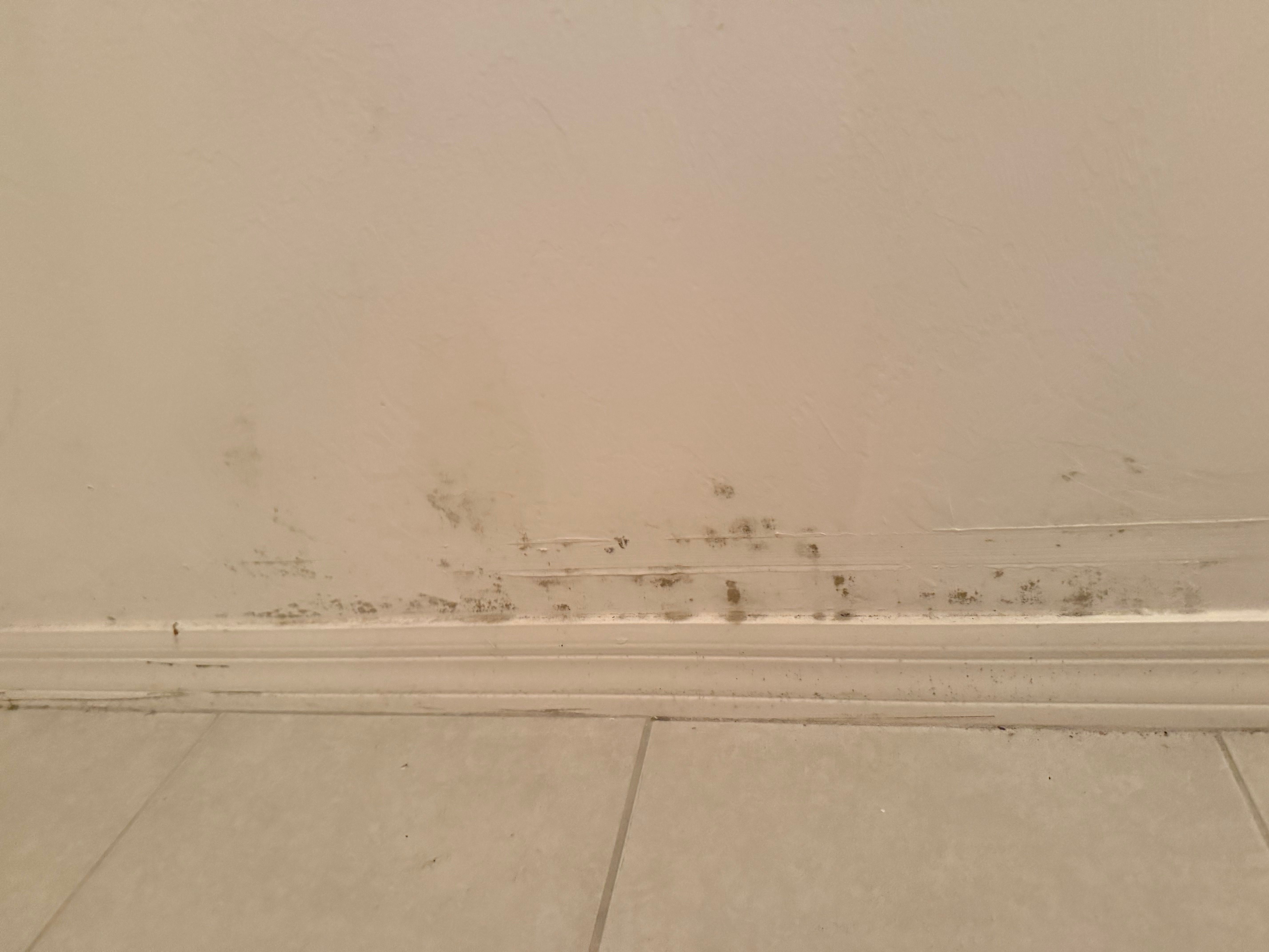  for N&D Restoration Services When Disaster Strikes, We Come In in Cape Coral,  FL