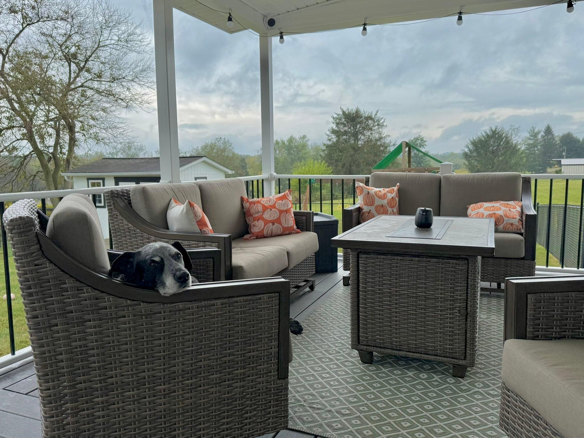  for DPD Construction in Cadiz Township, OH