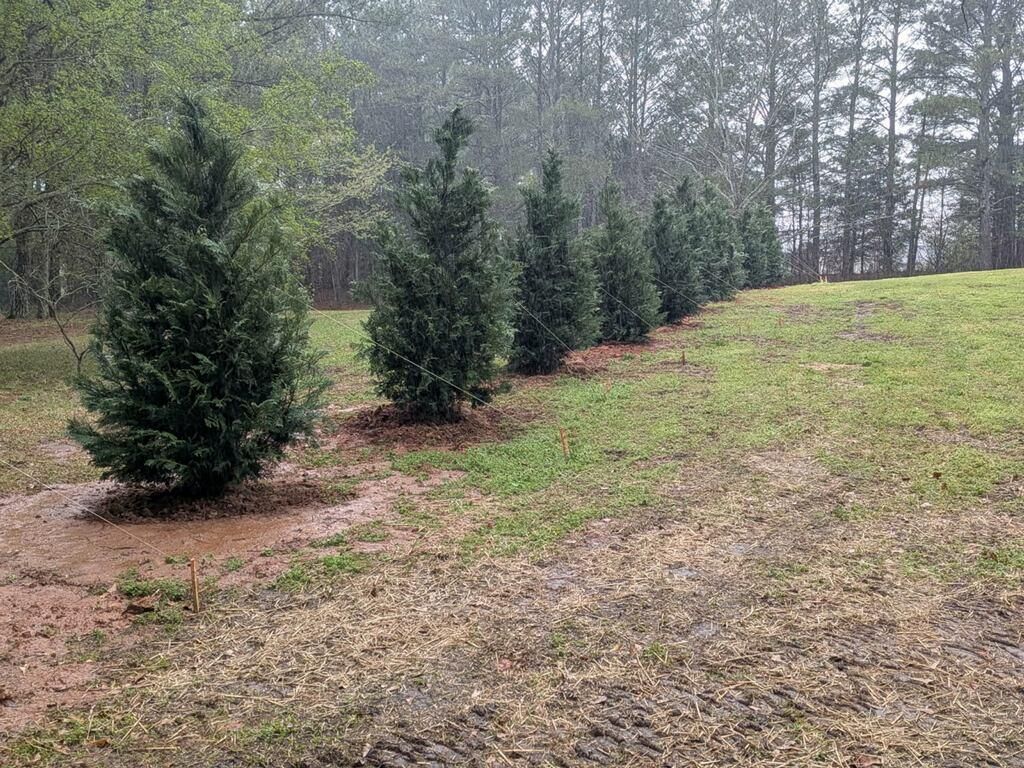  for Tri-P Services in Athens, GA