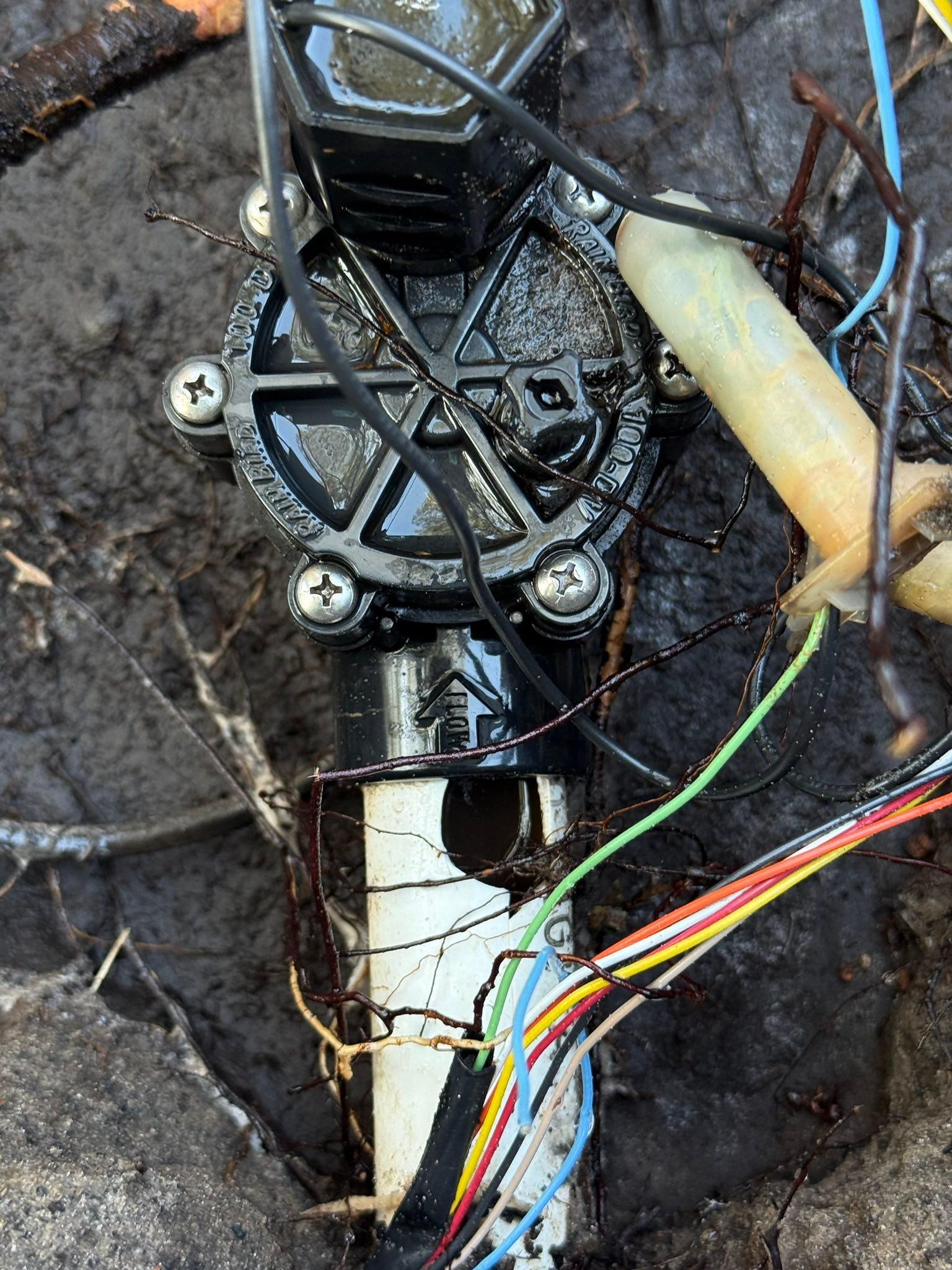 All Photos for Pavone Irrigation in Spring Hill, FL