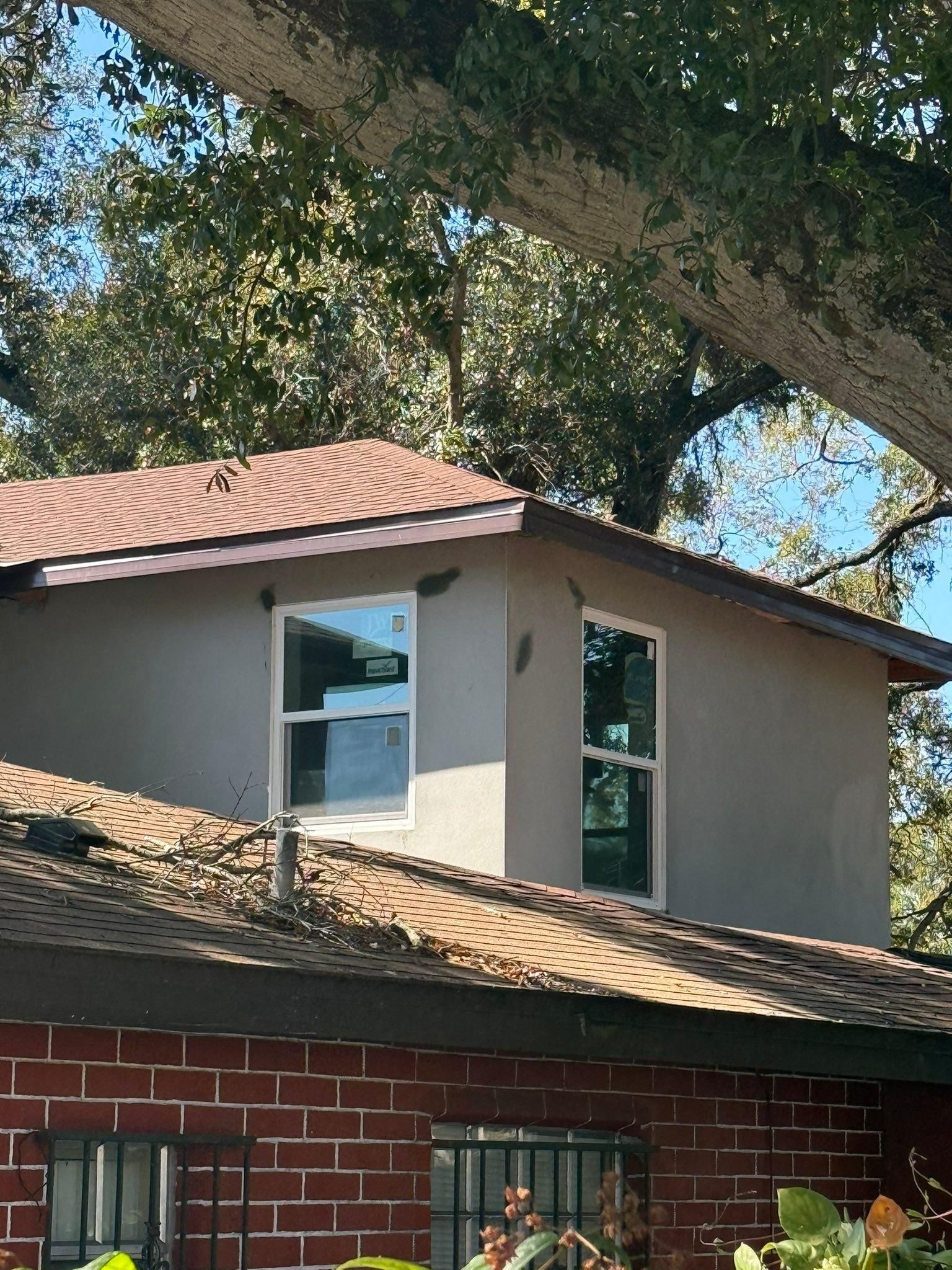  for Escorpio Painting in Tampa, FL