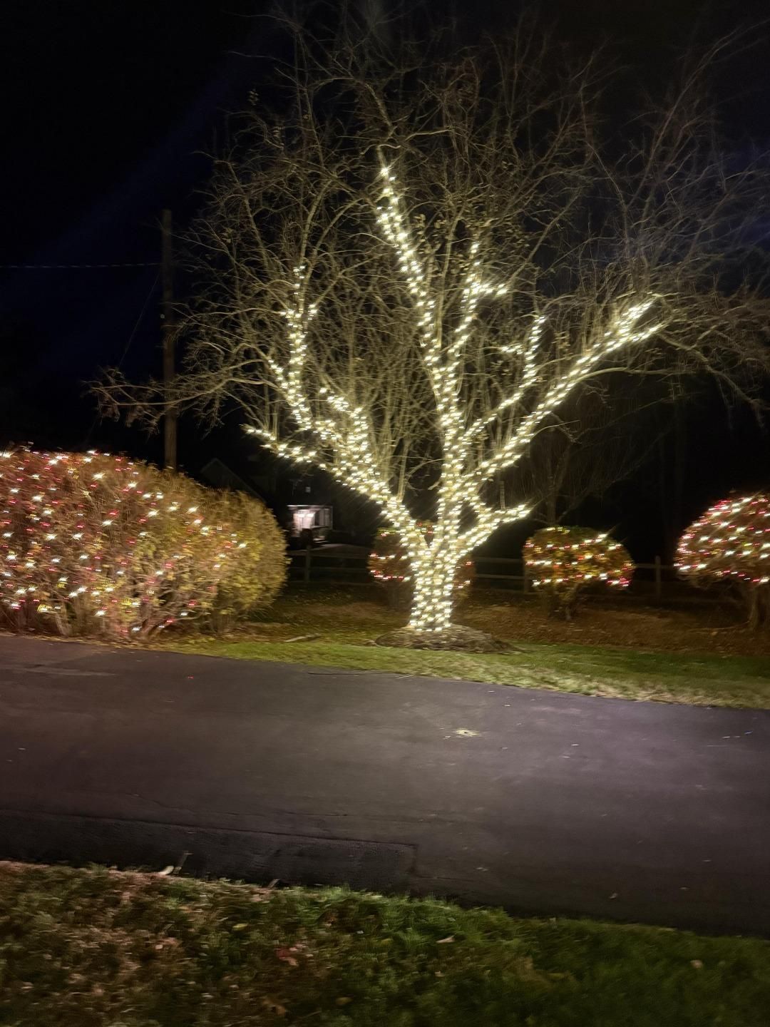  for Unique Outdoor Lighting in Short Hills, NJ