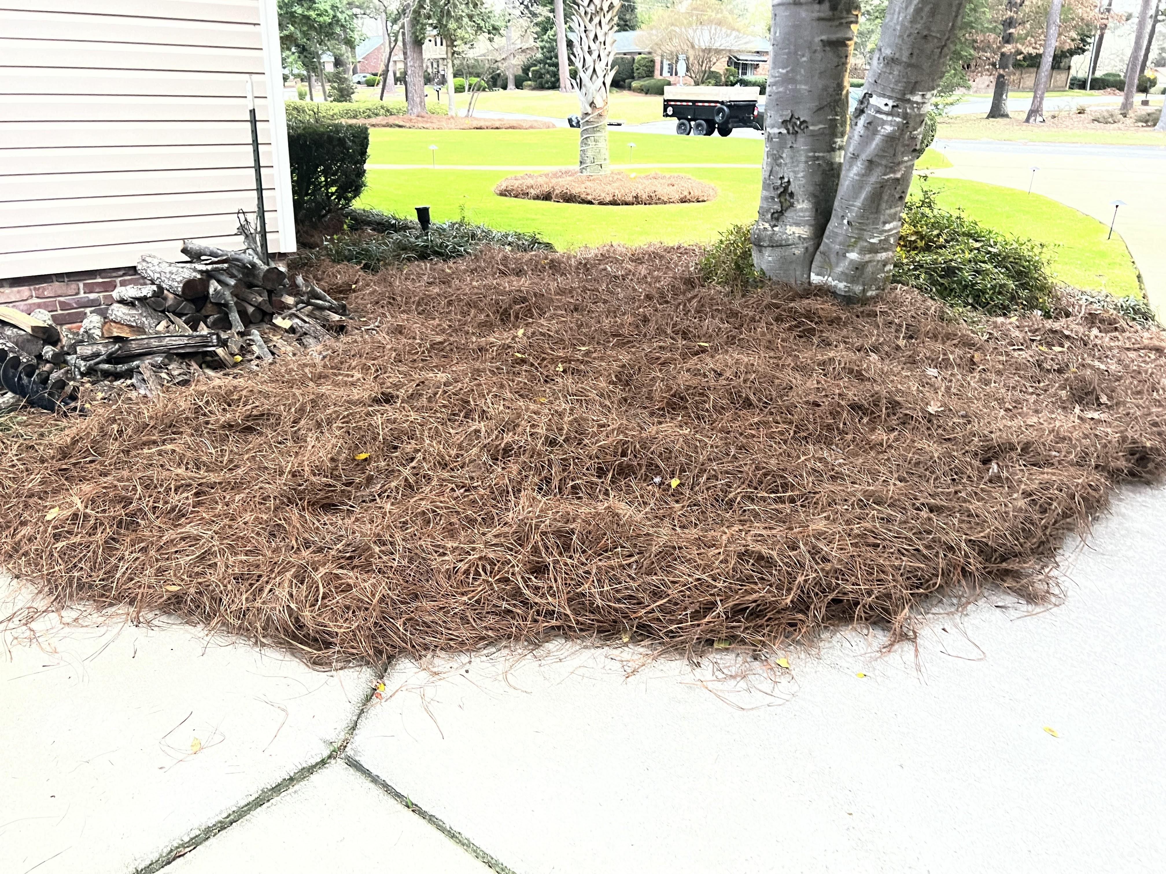  for Shang's Landscaping Service in Columbia, South Carolina
