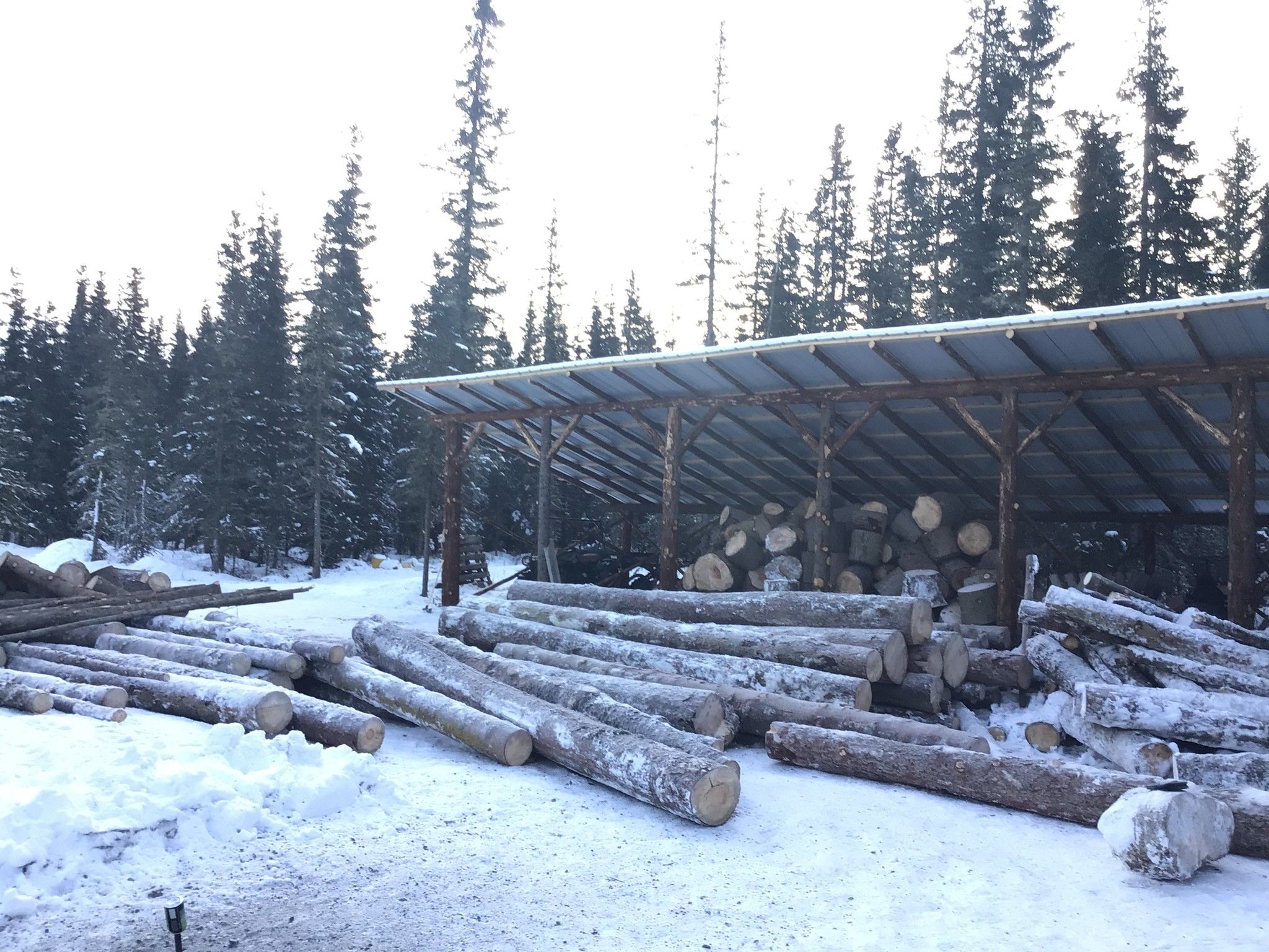  for Frontier Forestry Management in Soldotna, AK