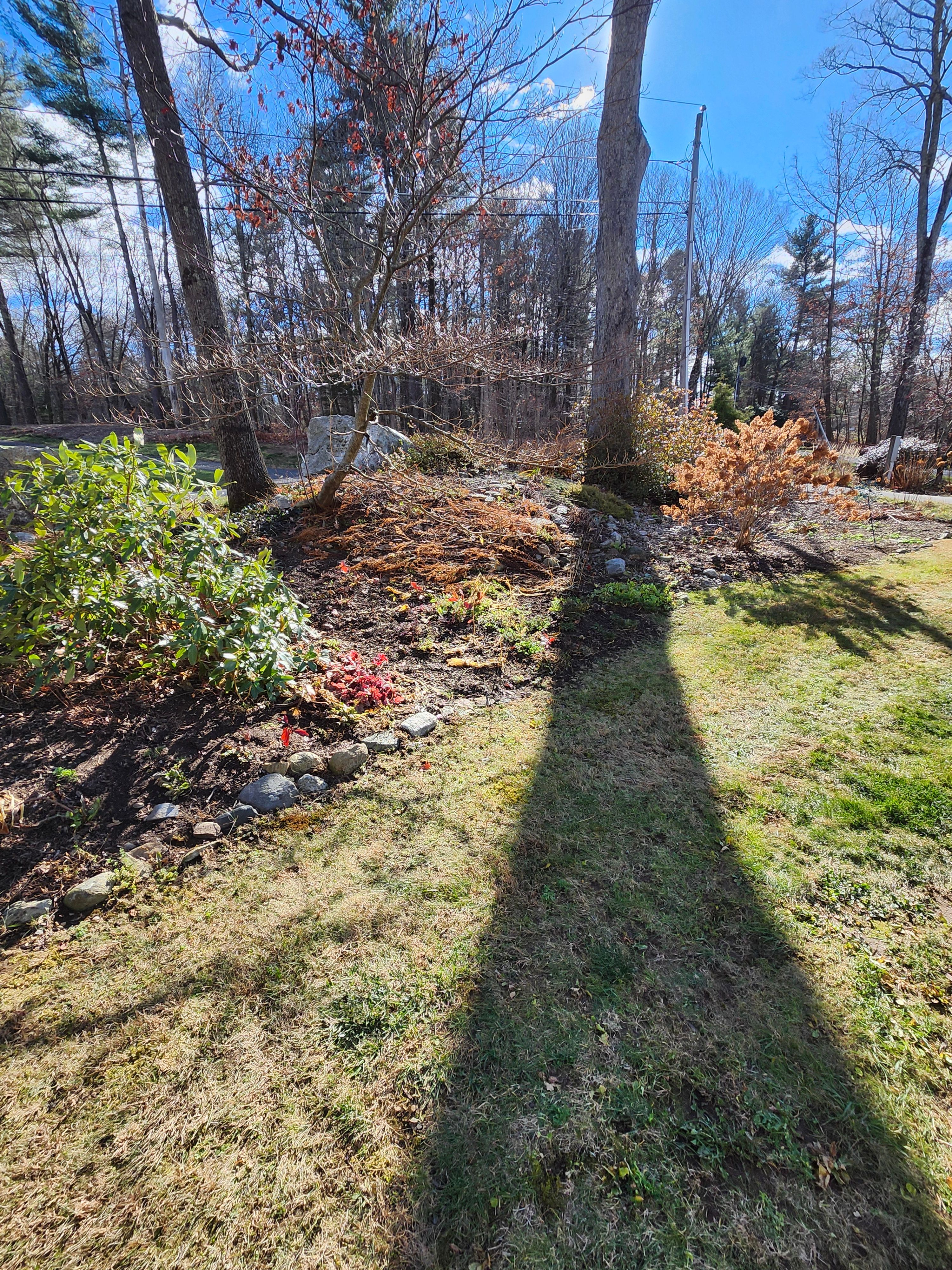 Spring & Fall Cleanups for Landscape Innovations LLC in Torrington, CT