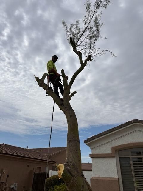  for American Dream Landscape Company in Surprise, AZ