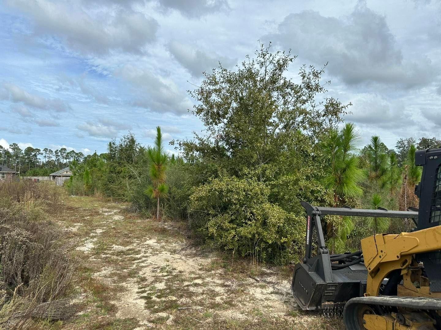  for White’s Land Maintenance in Milton,, FL