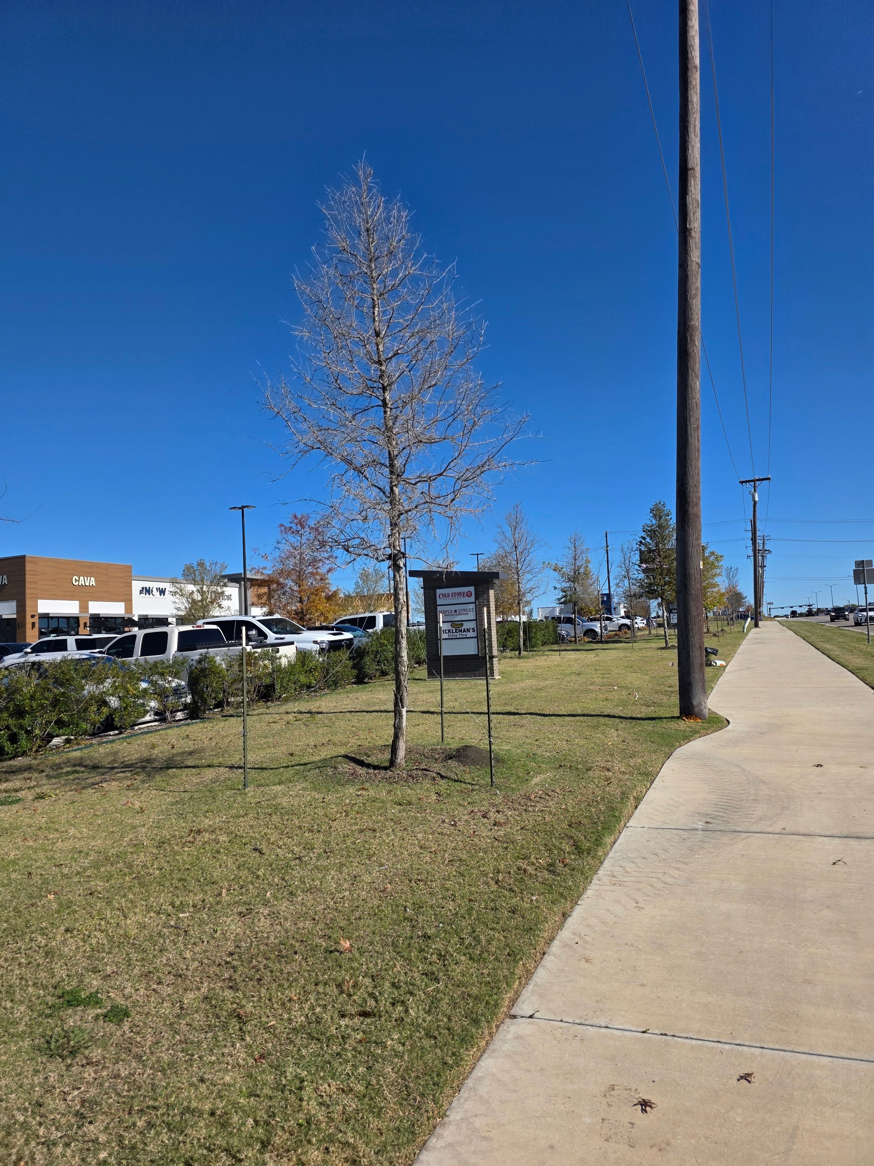  for RACSO RDZ LLC in McKinney, TX