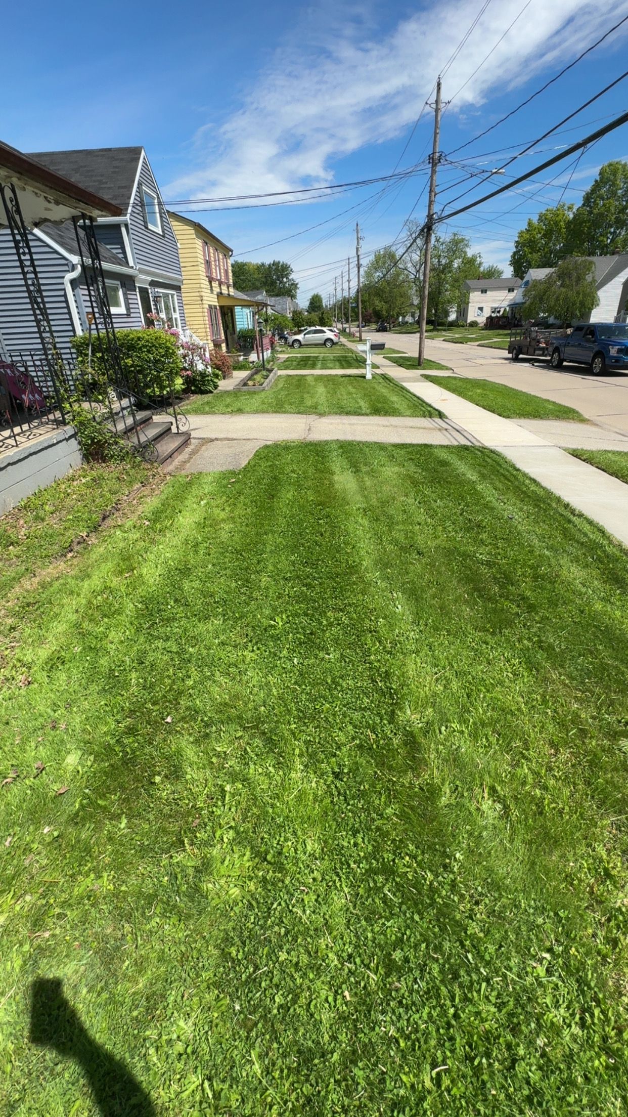  for Yard Theory in Willowick, OH