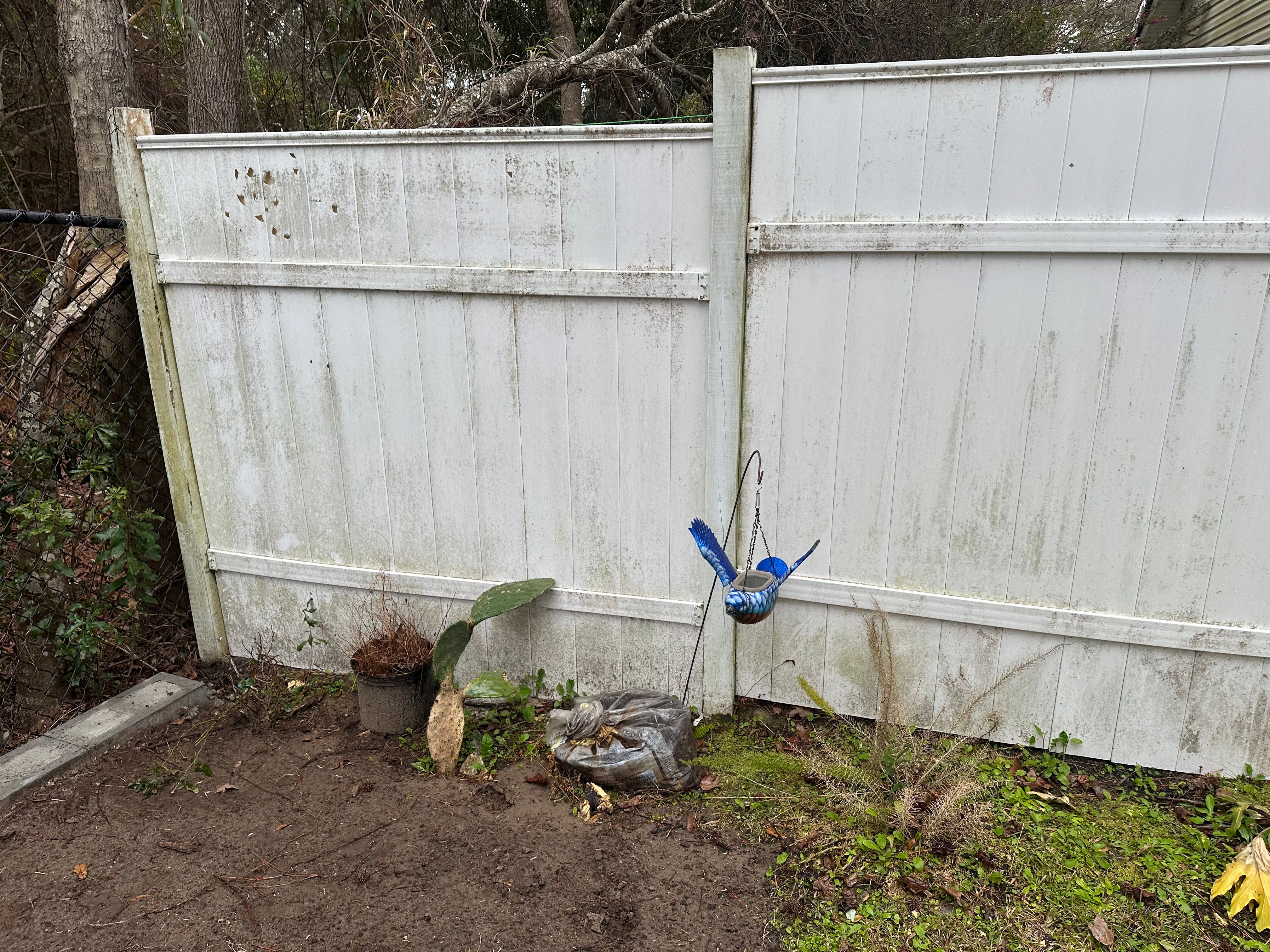  for Premier Softwash in Bluffton, SC