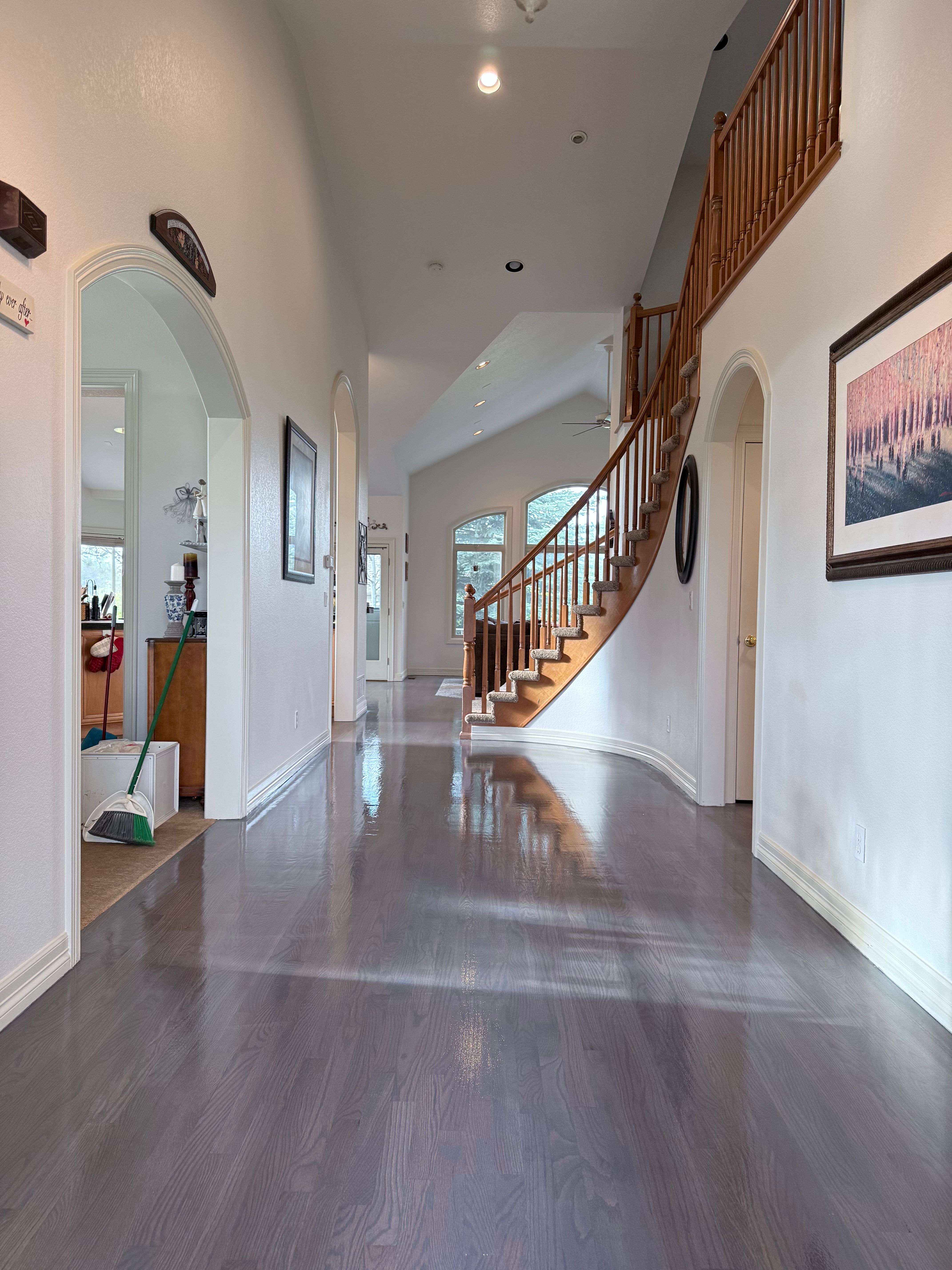  for Alpha Flooring & Painting Services. in Centennial, CO
