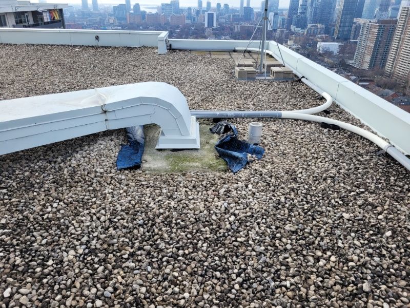  for Triumph Inc - Repair & Maintenance in Scarborough, ON