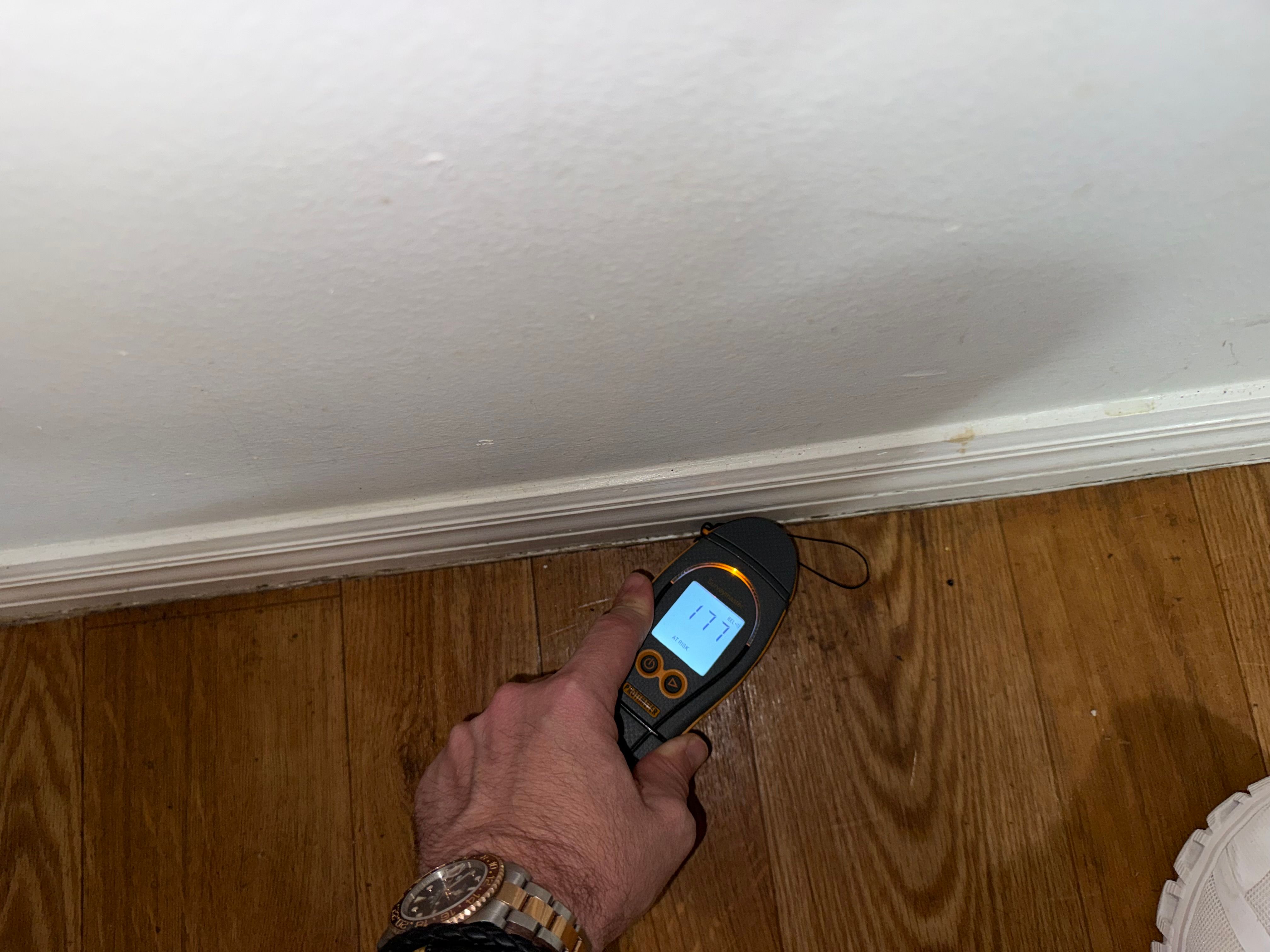  for Surplus Public Adjusters in Miami-Dade County, FL